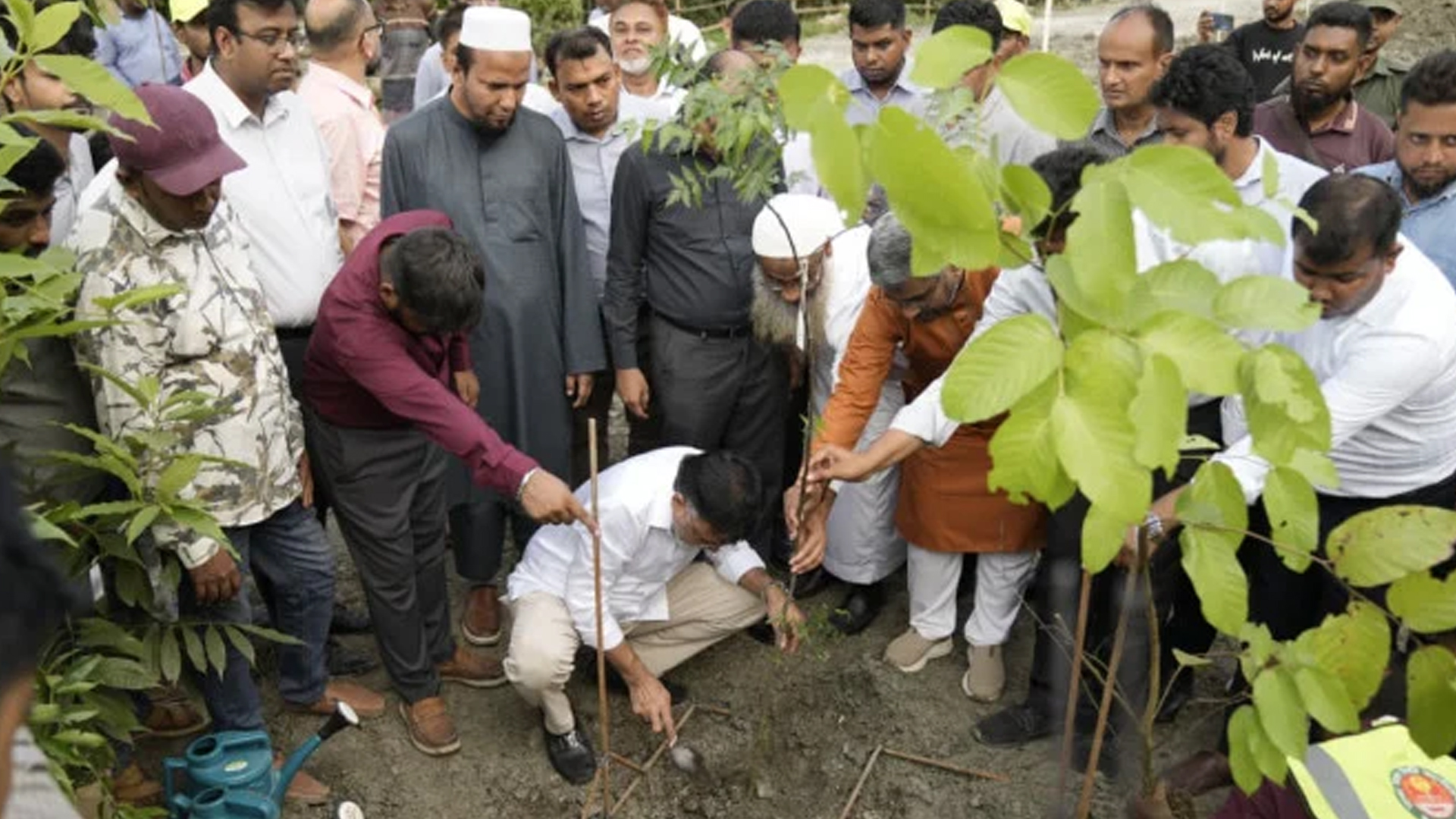 মিয়াওয়াকি পদ্ধতিতে দেশের বৃহত্তম নগর বনায়ন কার্যক্রম শুরু করল ডিএনসিসি