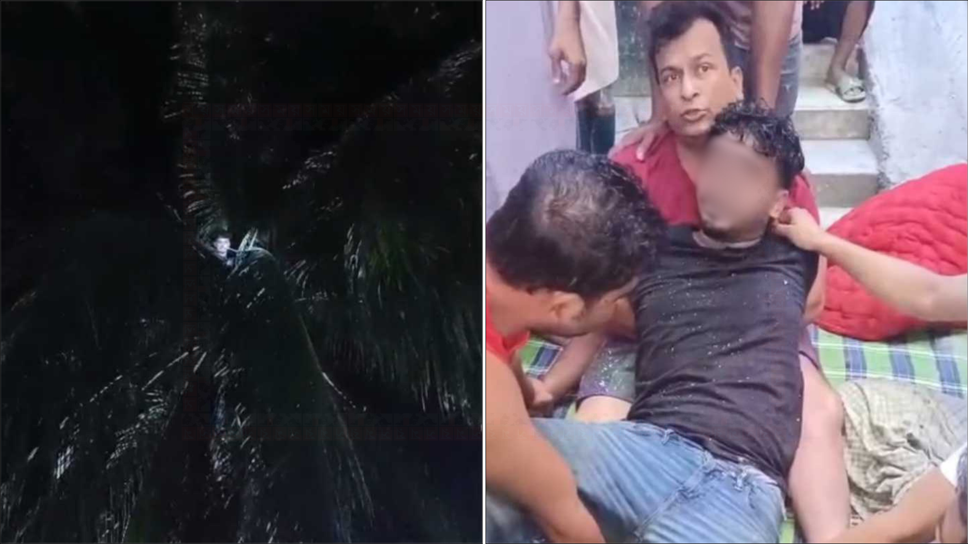 মাঝরাতে নারিকেল গাছে উঠে তরুণের পাগলামি, ফায়ারসার্ভিস ডেকে উদ্ধার