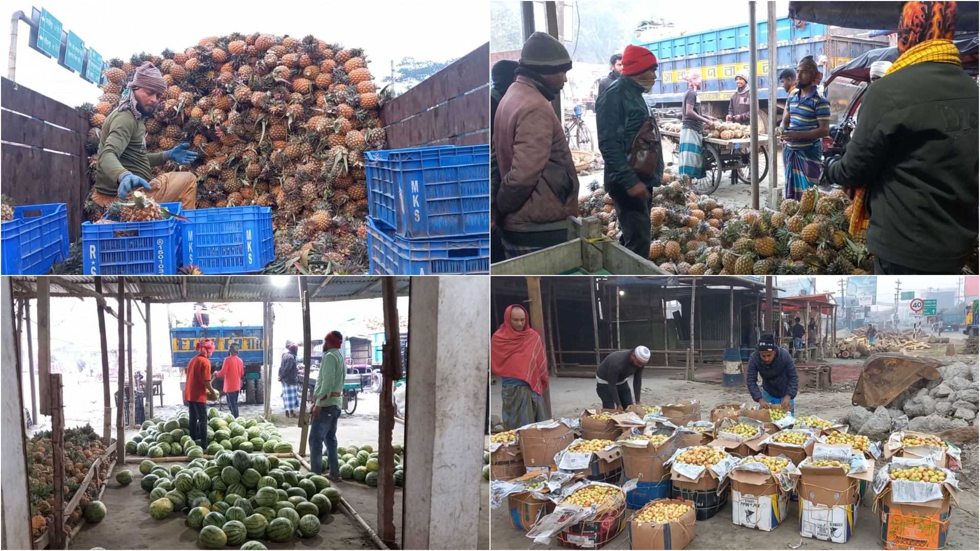 রোজায় মাদারীপুরে ঊর্ধ্বমুখী মৌসুমি ফলের দাম, হতাশ পাইকাররা