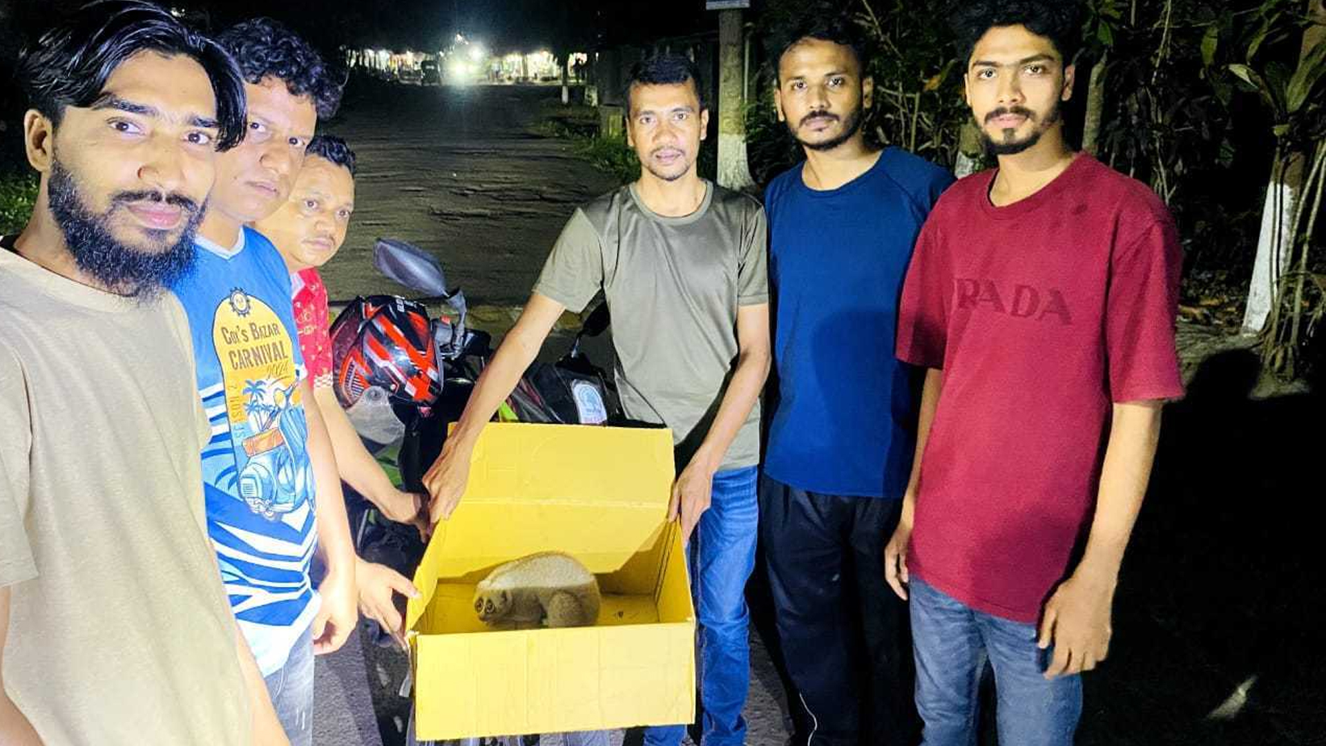 বৈদ্যুতিক খুঁটিতে বিদ্যুতায়িত হয় বিপন্ন প্রজাতির বানরটি, অবশেষে উদ্ধার