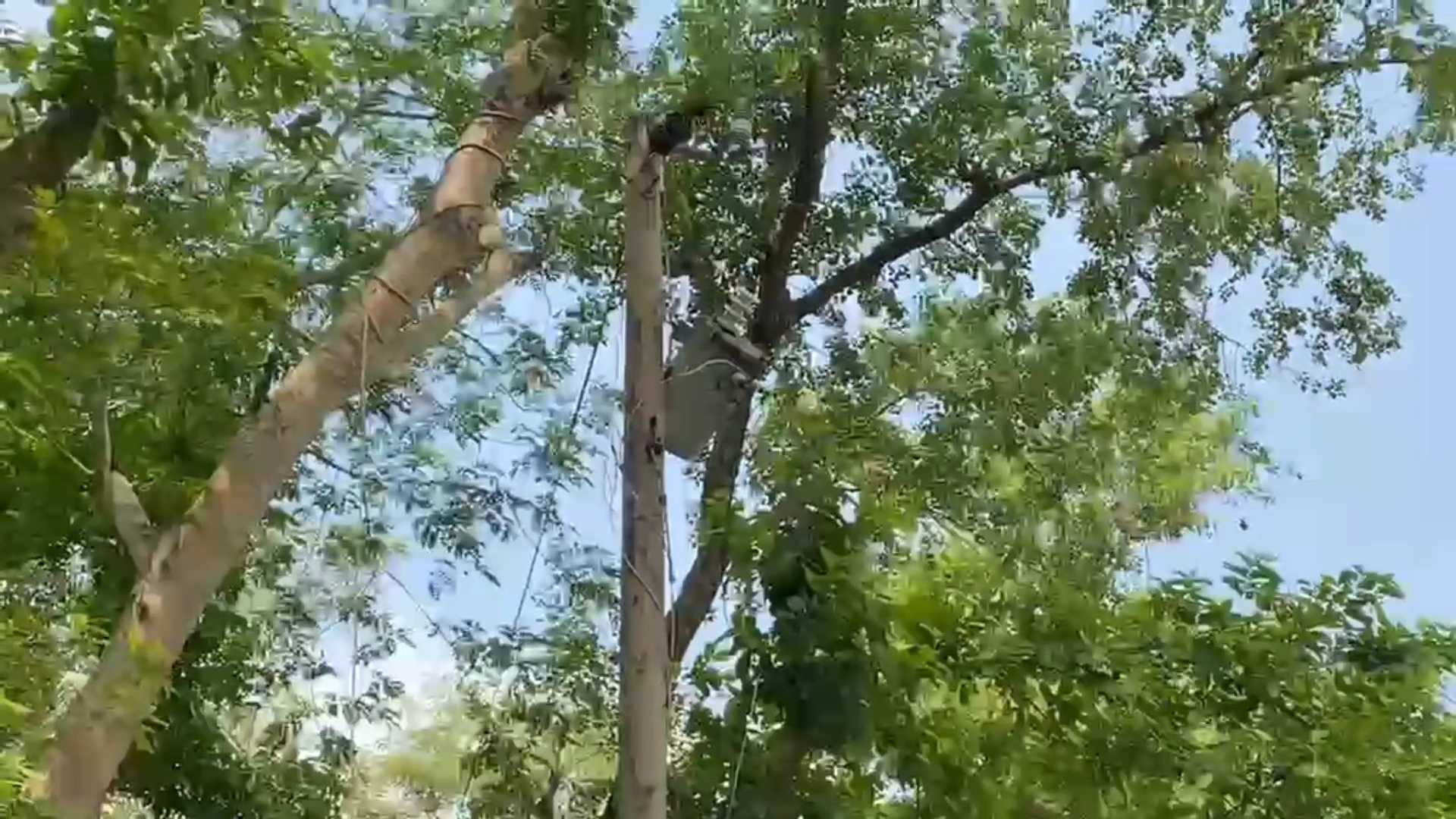 হাত ও পায়ের কিছু অংশ পোড়া অবস্থায় ট্রান্সমিটারের নিচে পড়েছিল যুবকের মরদেহ