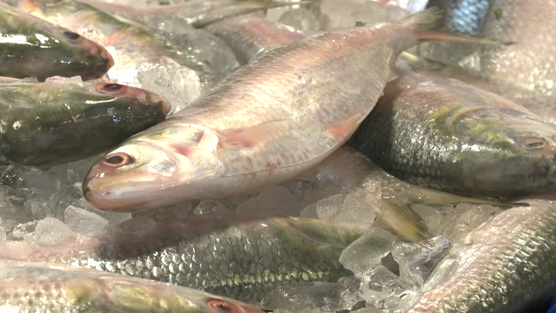 Onlaynda yosh ayolning eshakka urilishini tomosha qiling Onlaynda yosh ayolning eshakka urilishini tomosha qiling