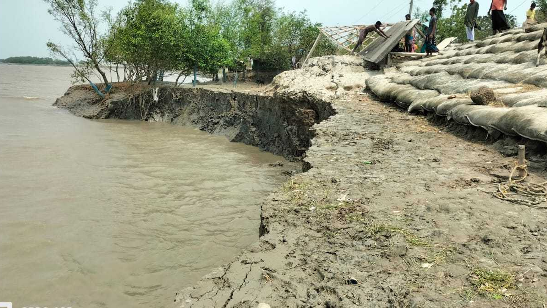 সাতক্ষীরার আশাশুনির বেড়িবাঁধে ভয়াবহ ভাঙন
