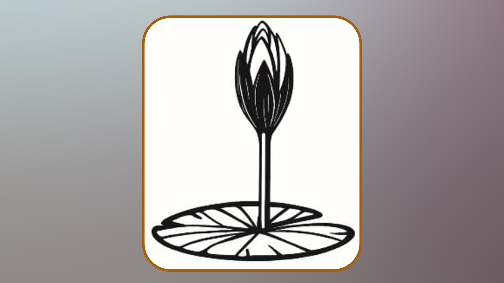 ইসির ওয়েবসাইটে যুক্ত হলো শাপলা কলির স্কেচ