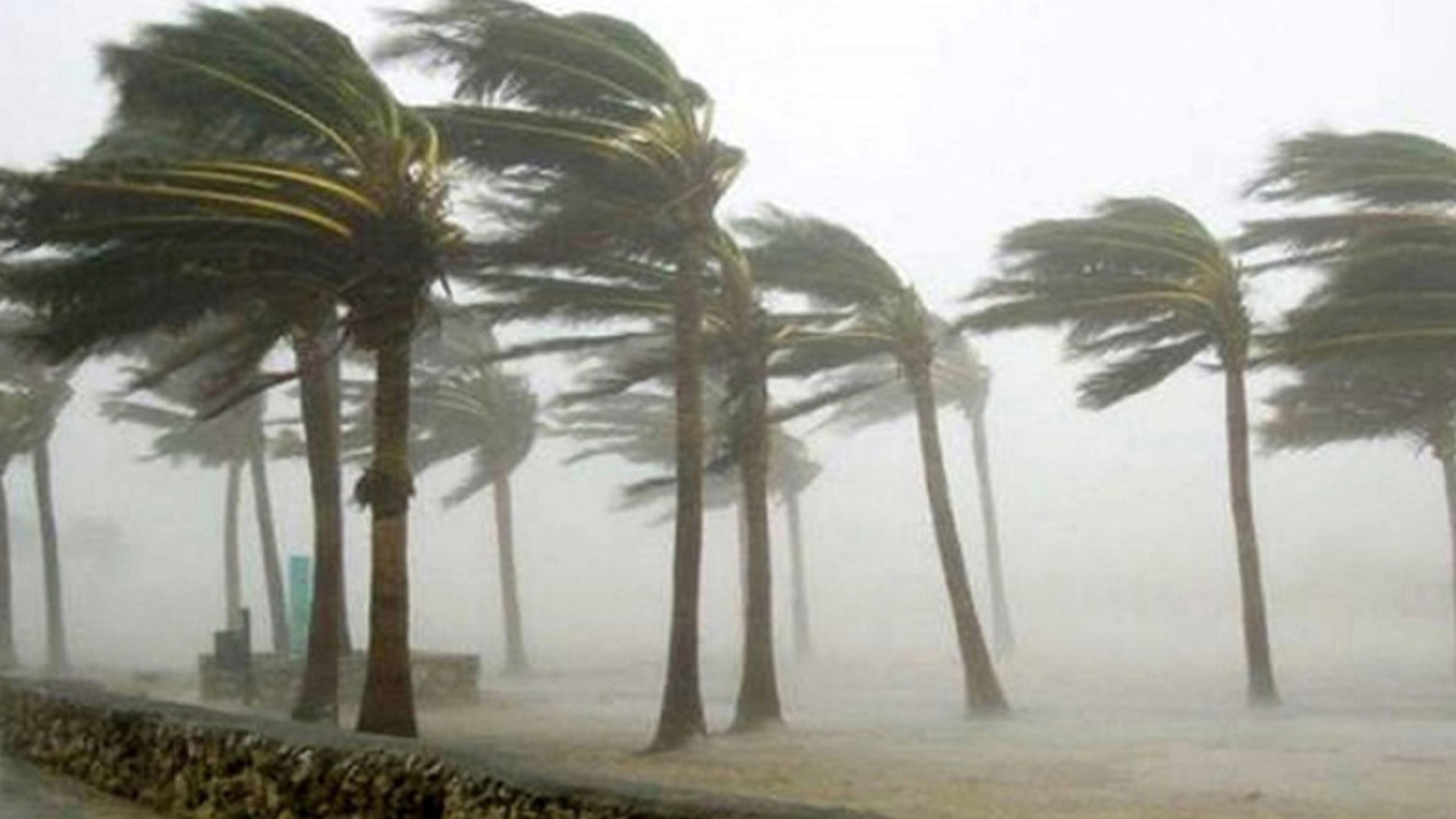 রাতে যেসব জেলায় ৬০ কিমি বেগে ঝড় ও বজ্রসহ বৃষ্টির আশঙ্কা