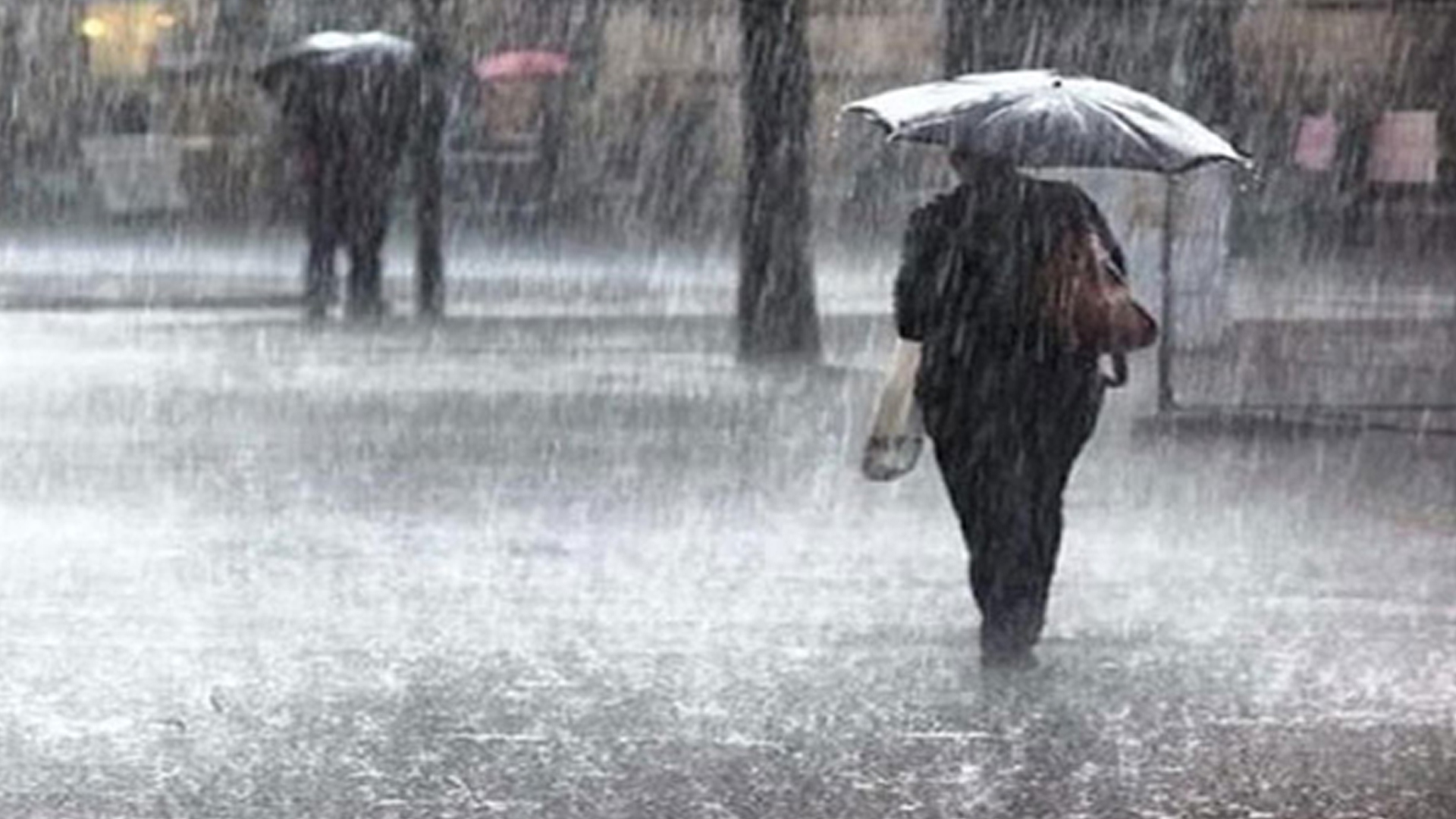 যেসব জেলায় বজ্রপাতসহ ভারি বর্ষণের সতর্কবার্তা