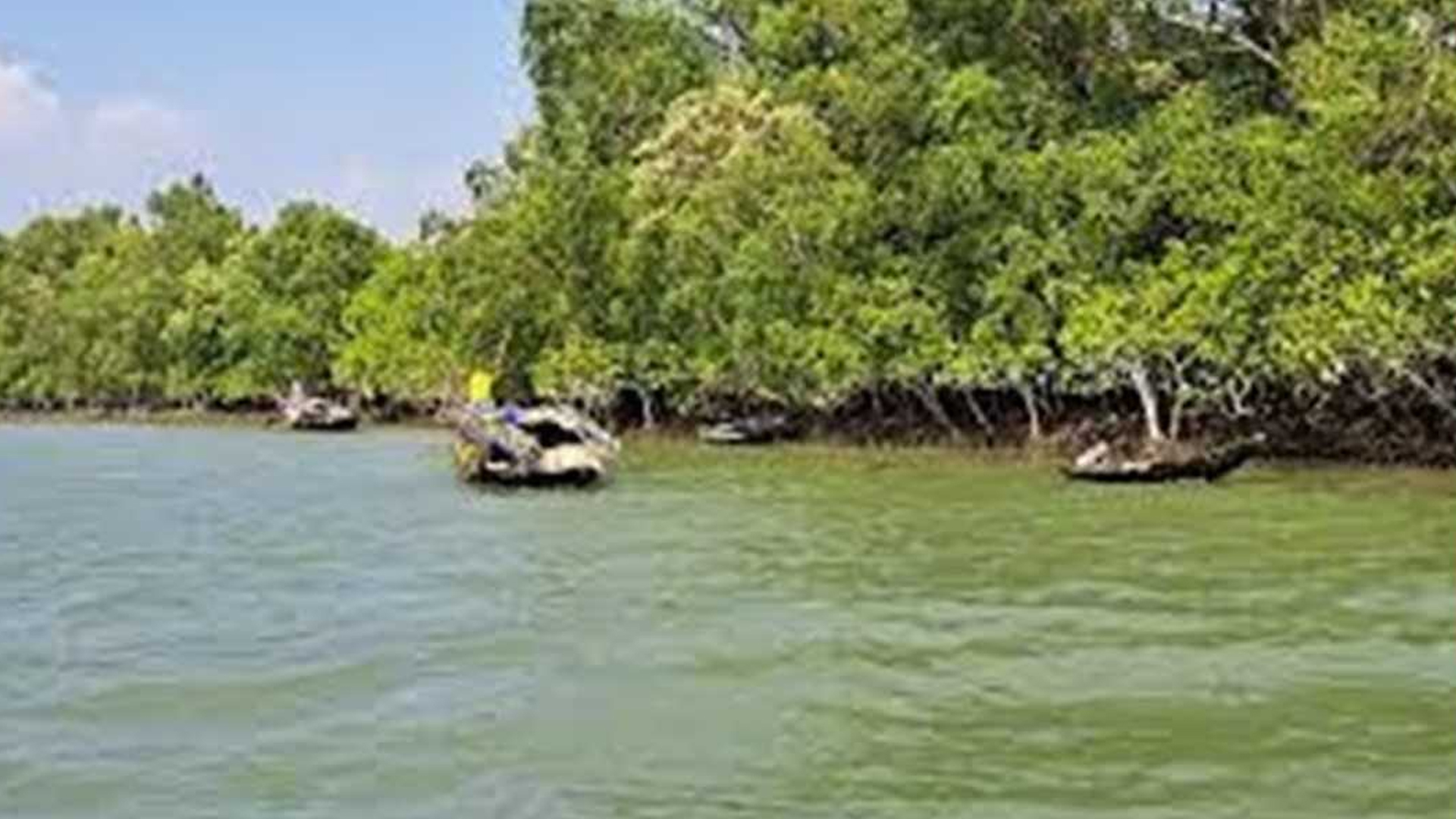 সুন্দরবনে অপহৃত ৬ জেলে উদ্ধার, এখনো নিখোঁজ ৪