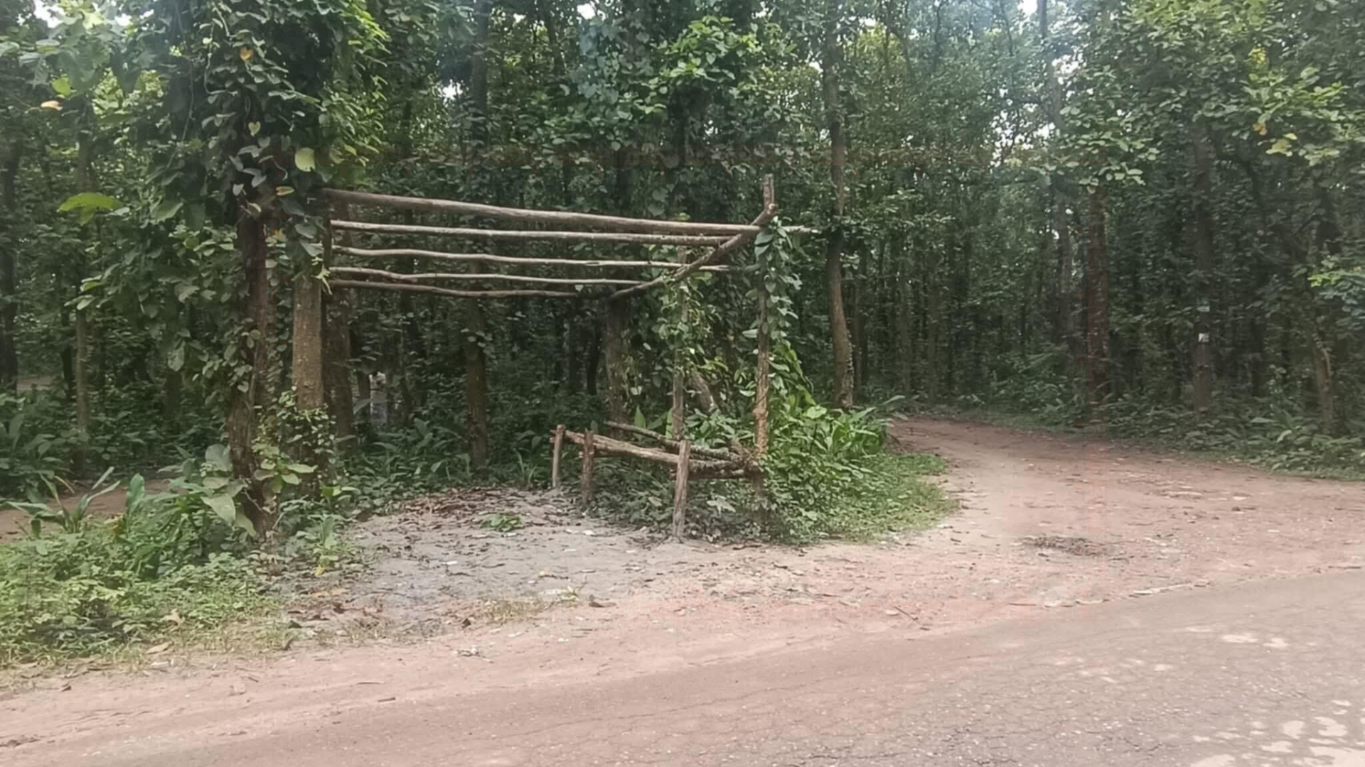 ডাকাতি ঠেকাতে বানানো পুলিশ চেকপোস্টের টিন খুলে নিয়ে গেলো চোর