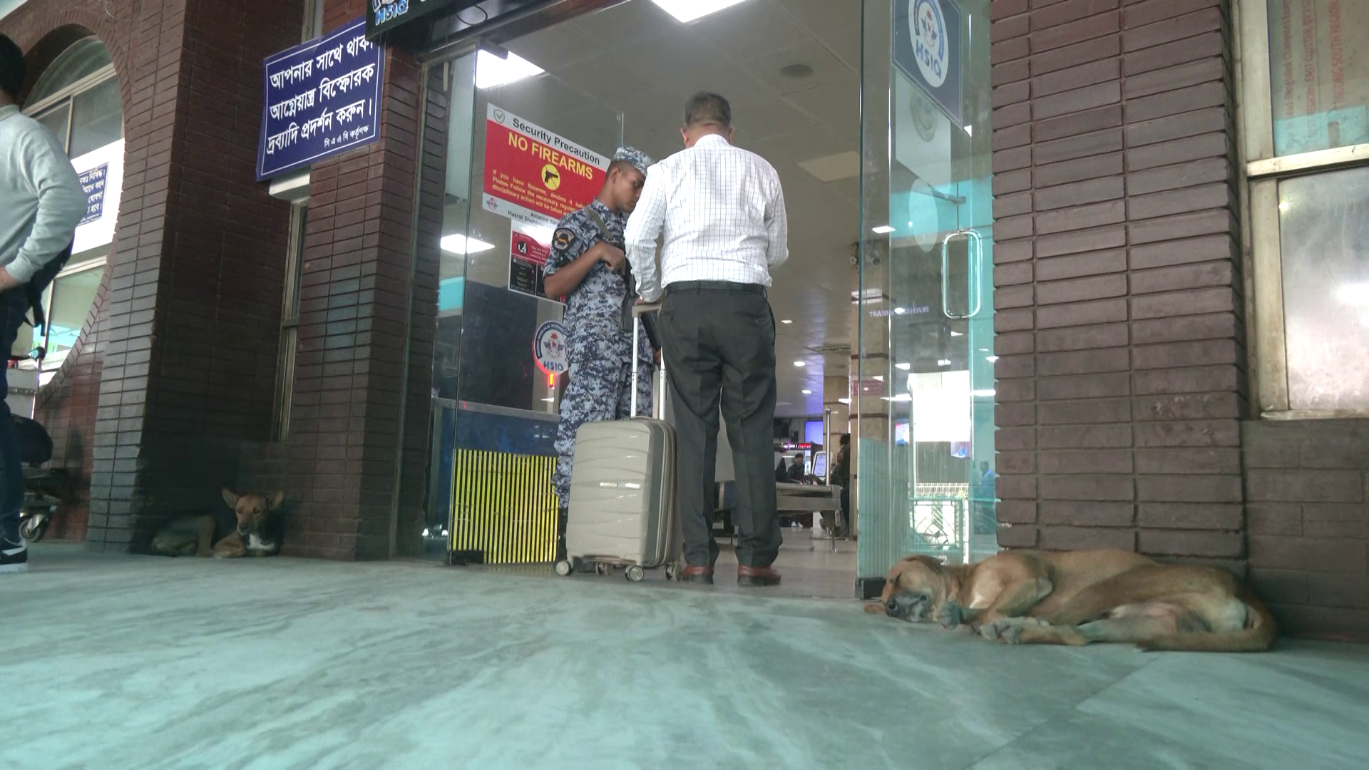 শাহজালাল বিমানবন্দরের গেটে বেওয়ারিশ কুকুর, নিরাপত্তা নিয়ে প্রশ্ন!