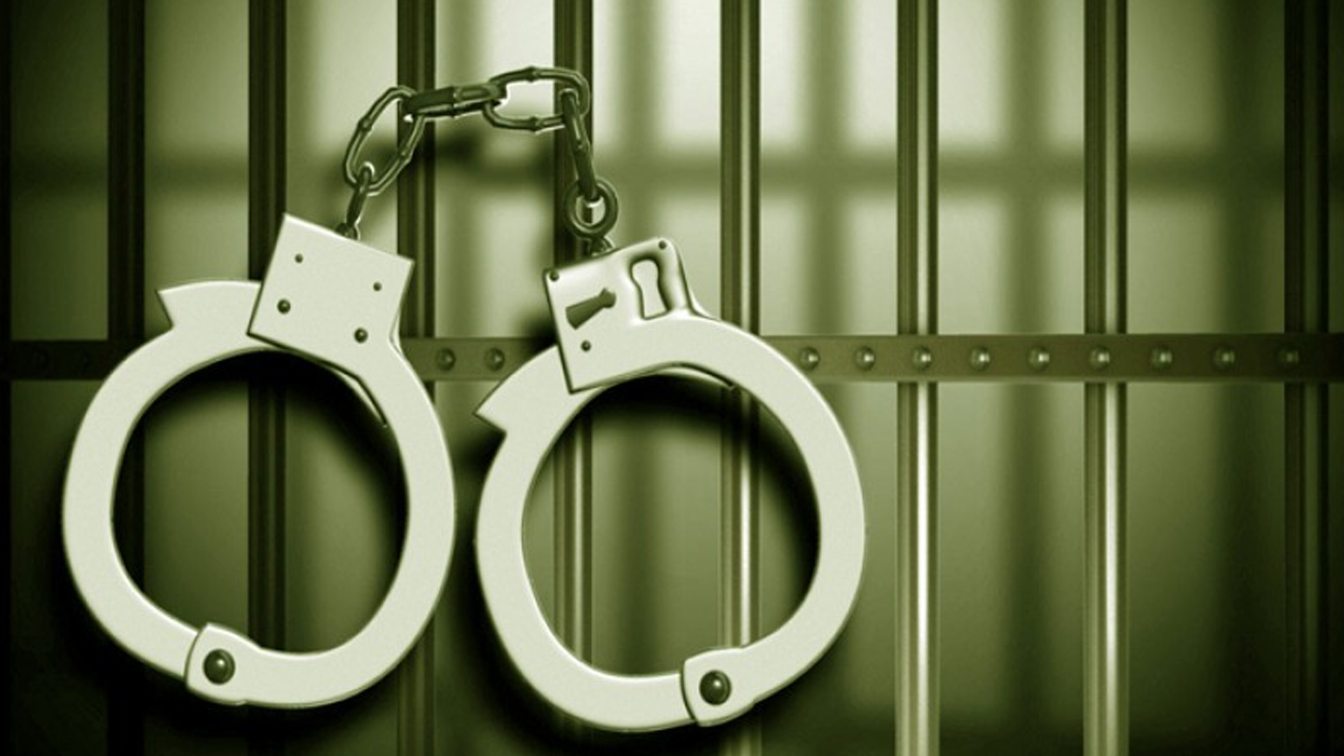 রাজধানীতে বিশেষ অভিযানে গ্রেফতার ১৪