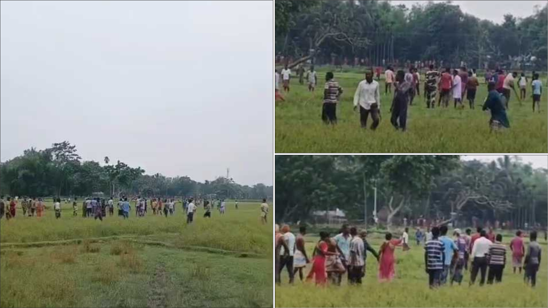 সীমান্তে গরু নিতে এল বিএসএফ, রুখে দিল জনতা