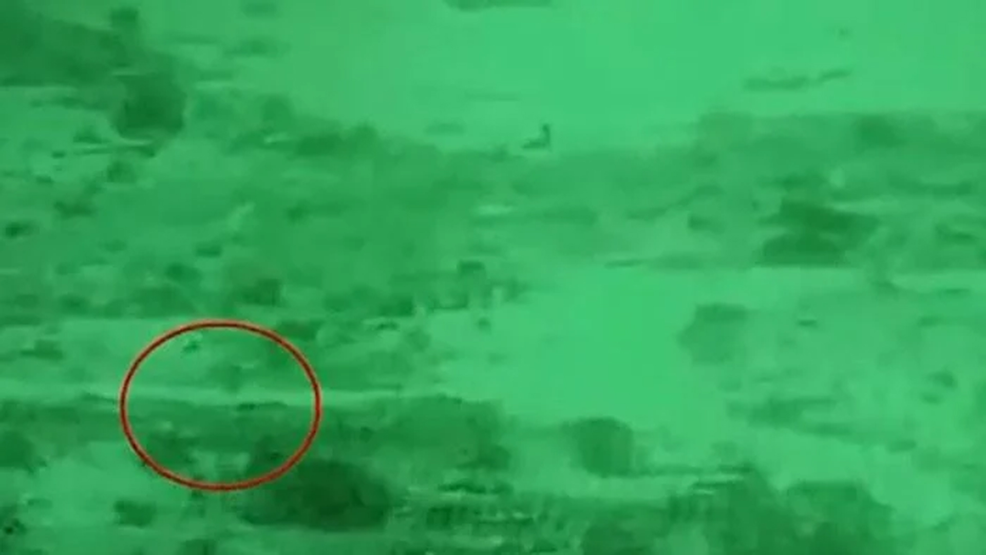 পাক-আফগান সীমান্তে রাতভর সংঘর্ষ: তালেবান সরকারের শতাধিক সদস্য নিহত