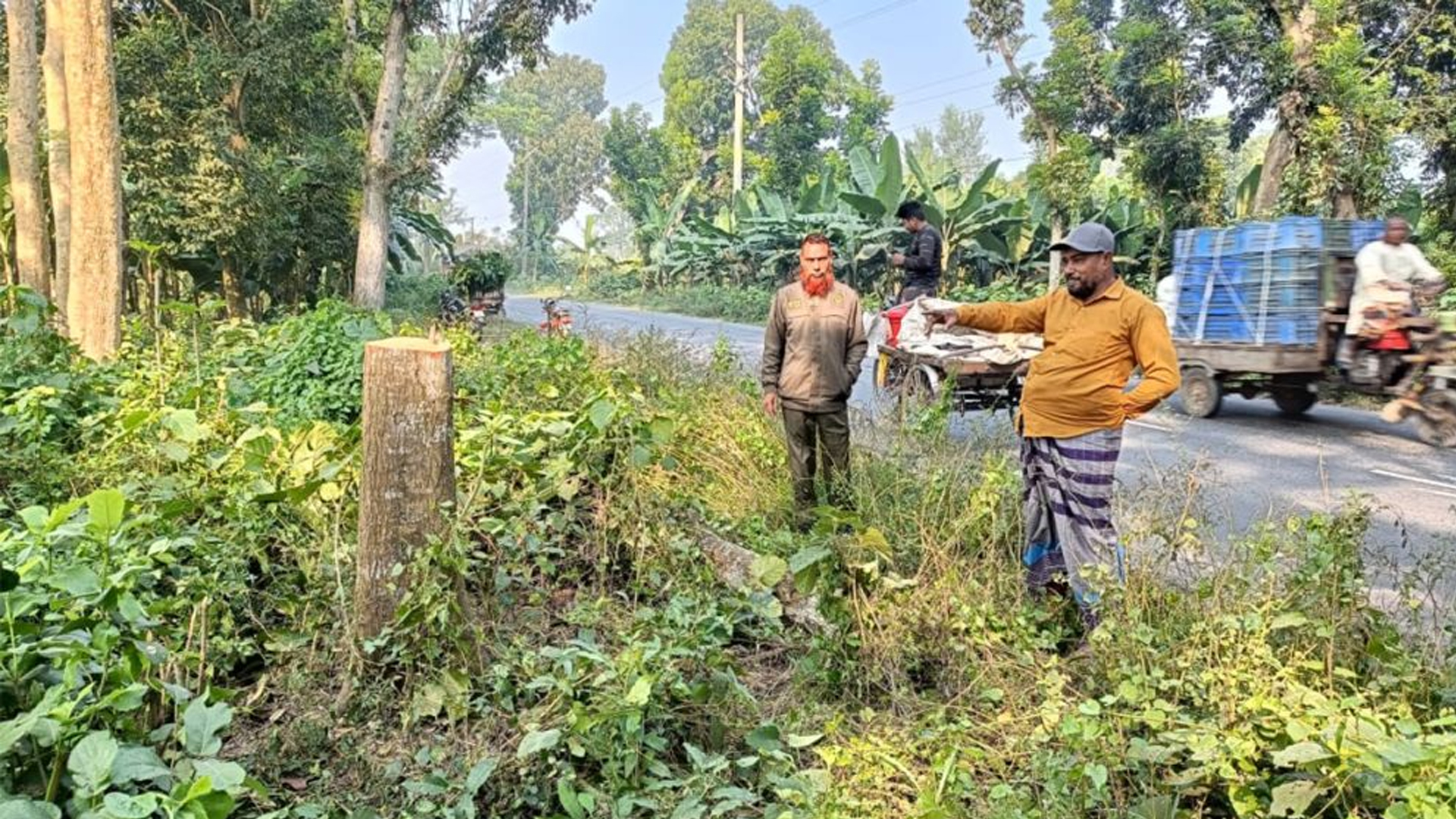 মহেশপুরে রাতের বেলা সড়কের ওপর গাছ ফেলে ডাকাতি