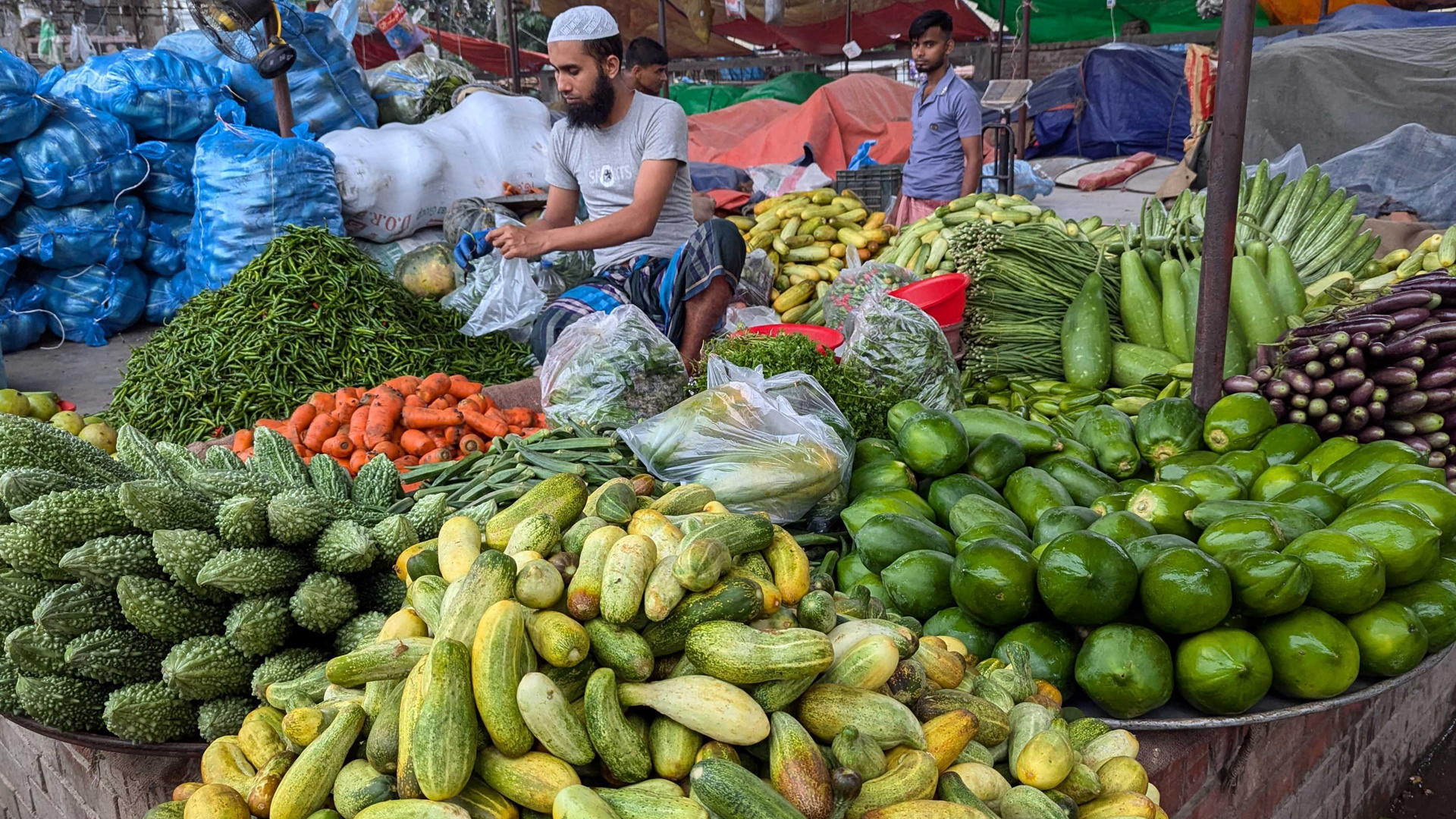 অস্থির সবজির বাজার, দাম কমছে কাঁচা মরিচের