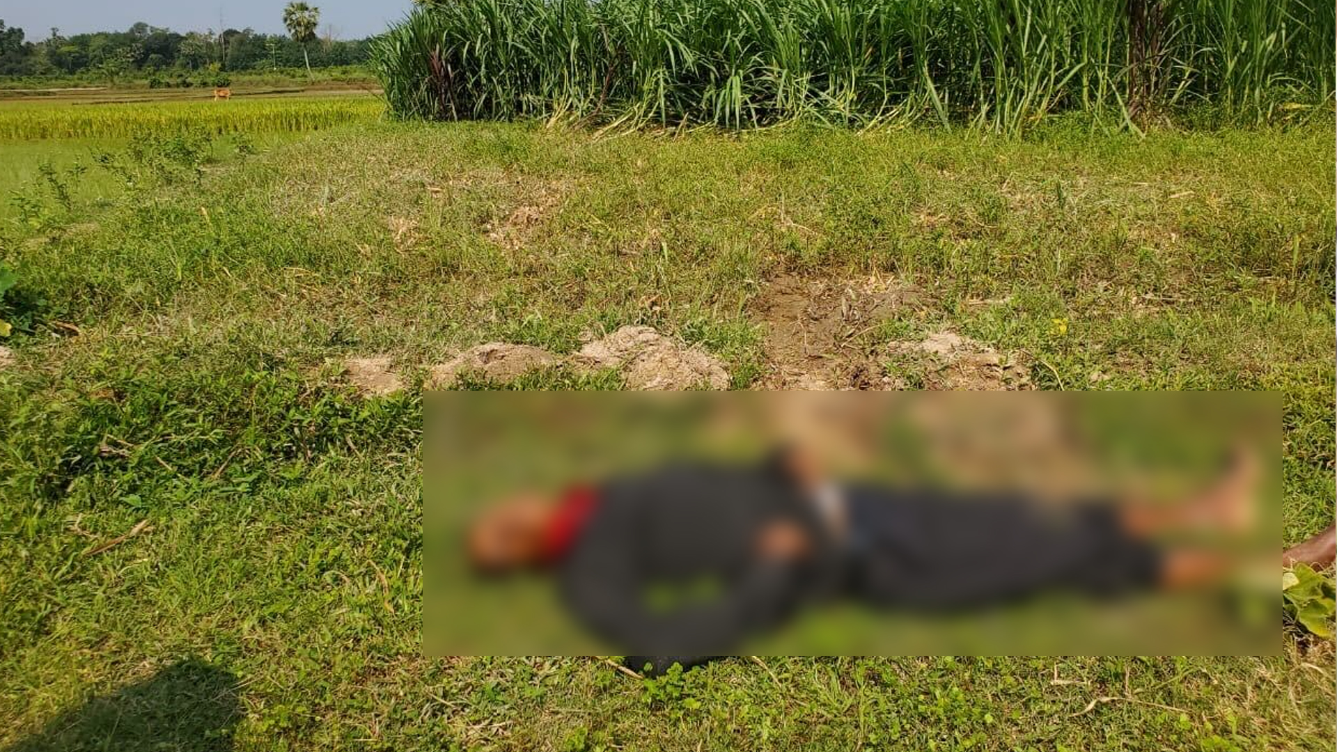 ফেনীর সীমান্তবর্তী এলাকায় পড়ে ছিল মরদেহ, জানা যায়নি পরিচয়
