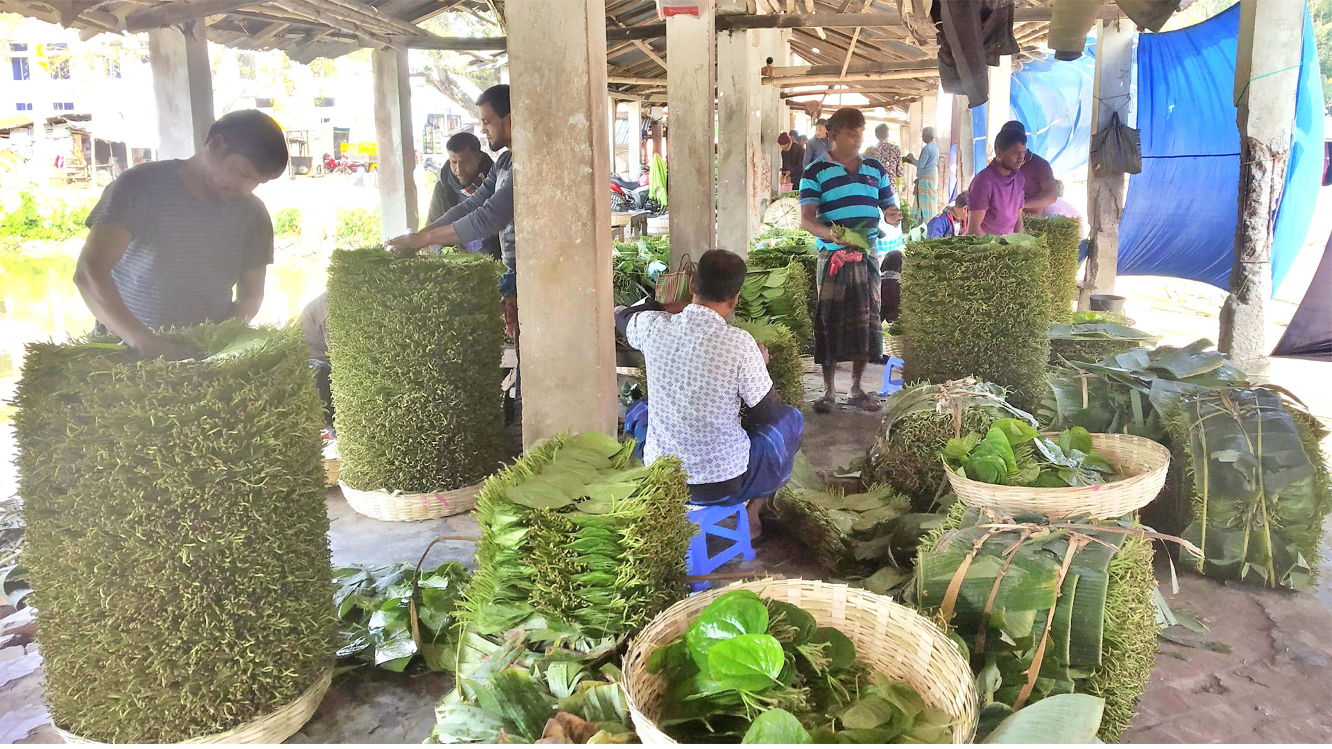 পানে হতাশা, অন্য পেশায় ঝুঁকছেন কৃষক