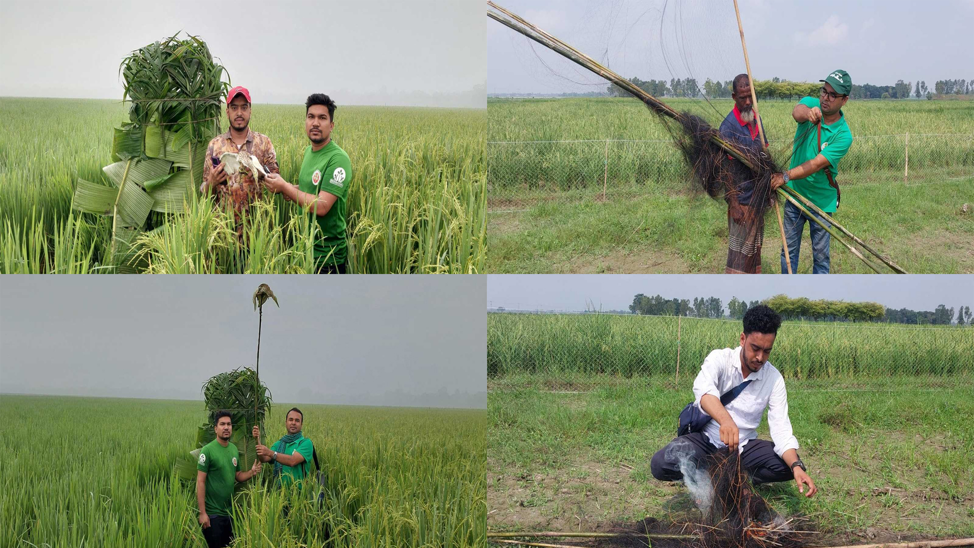 সিংড়ার চলনবিলে কিল্লা ঘর থেকে বক-ঘুঘু উদ্ধার