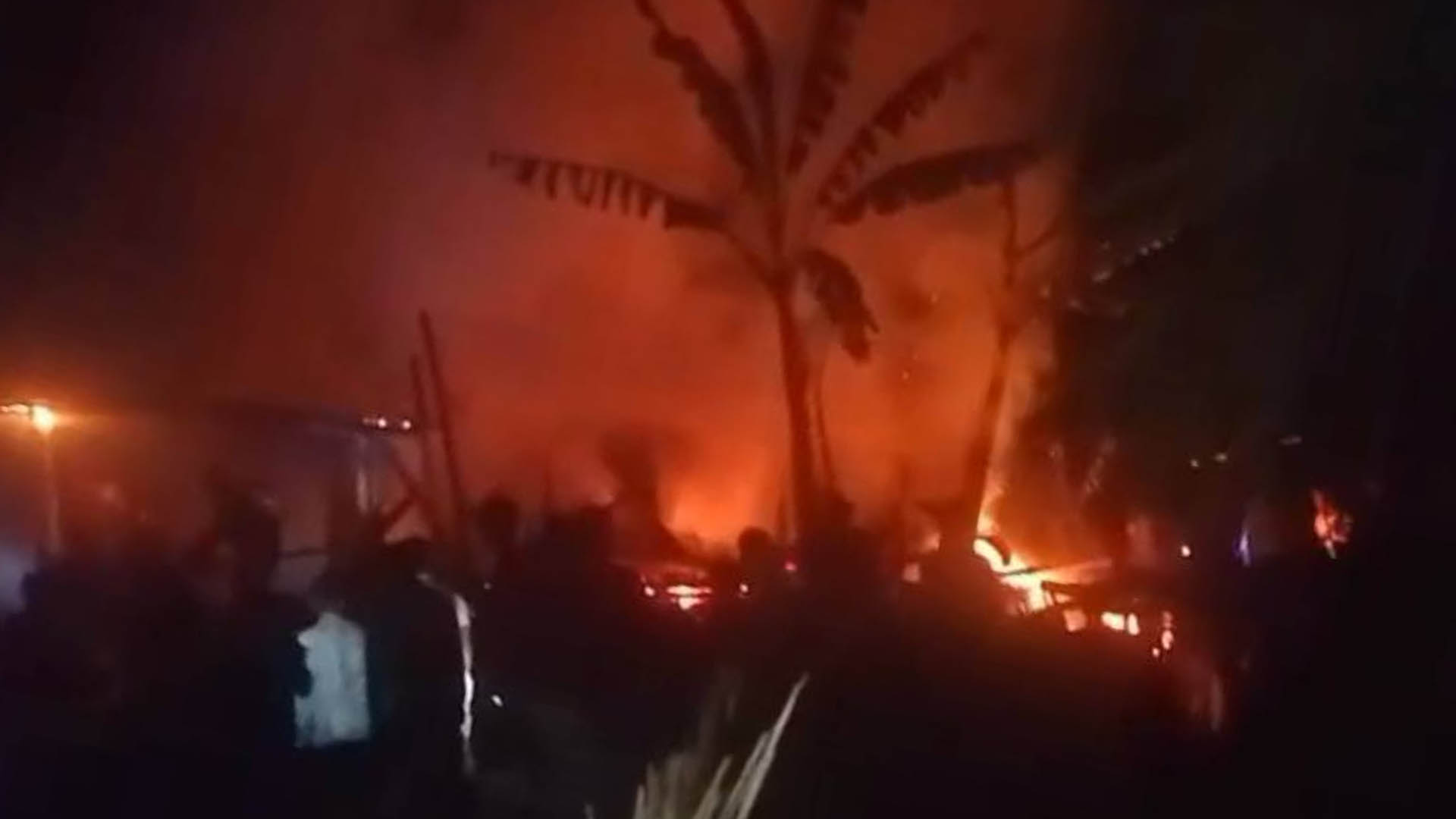 মাদারীপুরের শিবচরে খামারে আগুন, পুড়ল ৮ গবাদি পশু