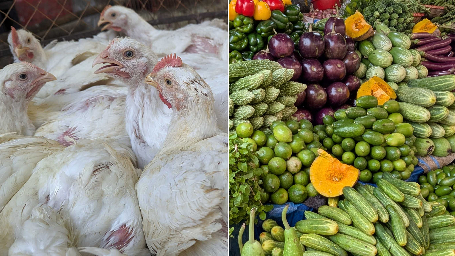 রাজধানীতে বেড়েছে মুরগির দাম, সবজির বাজারে কী হালচাল?