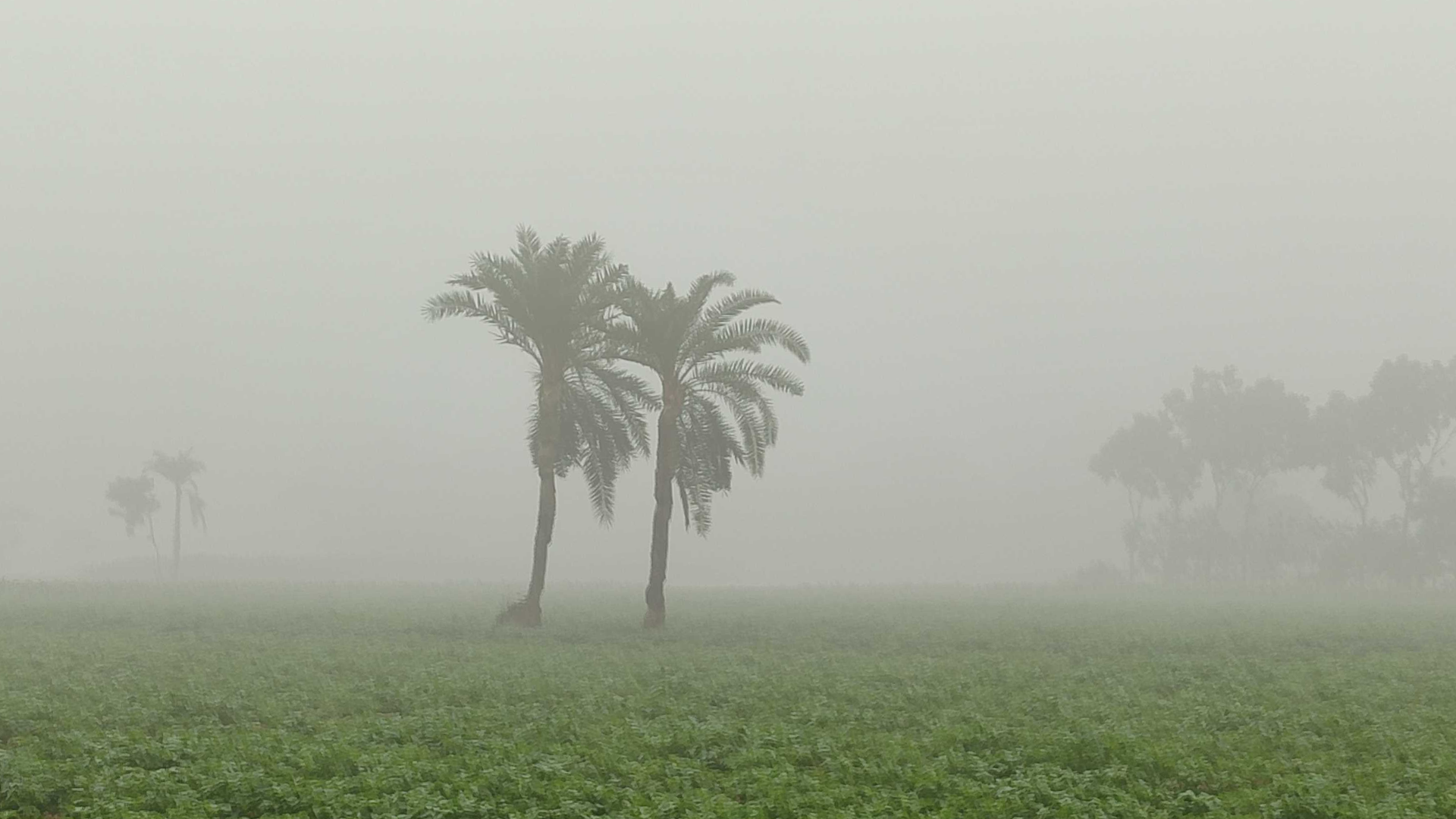 শীতের দাপটে কাঁপছে তেঁতুলিয়া, তাপমাত্রা ১১.১