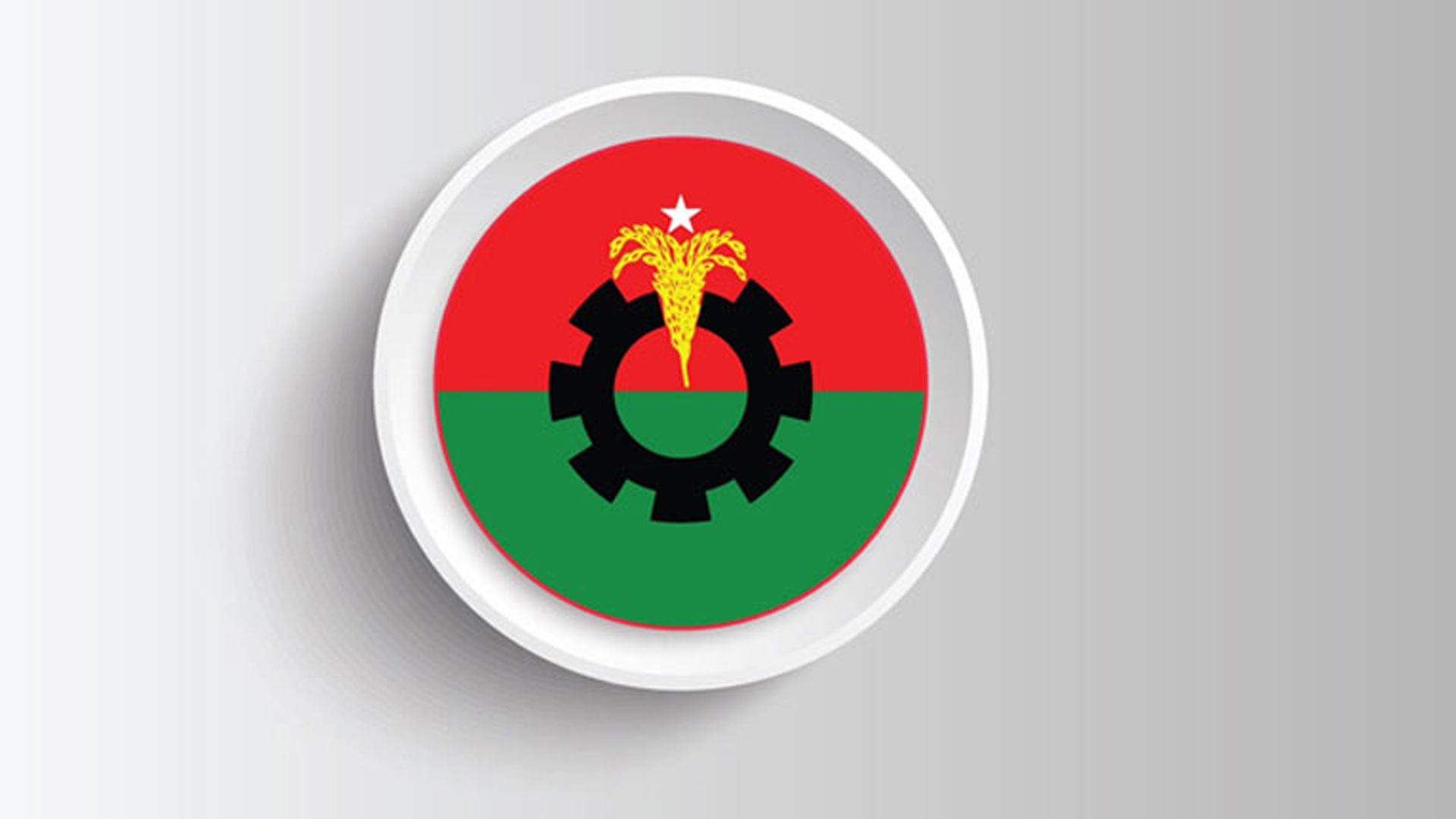সাতক্ষীরা পৌর বিএনপির ২ নেতা বহিষ্কার