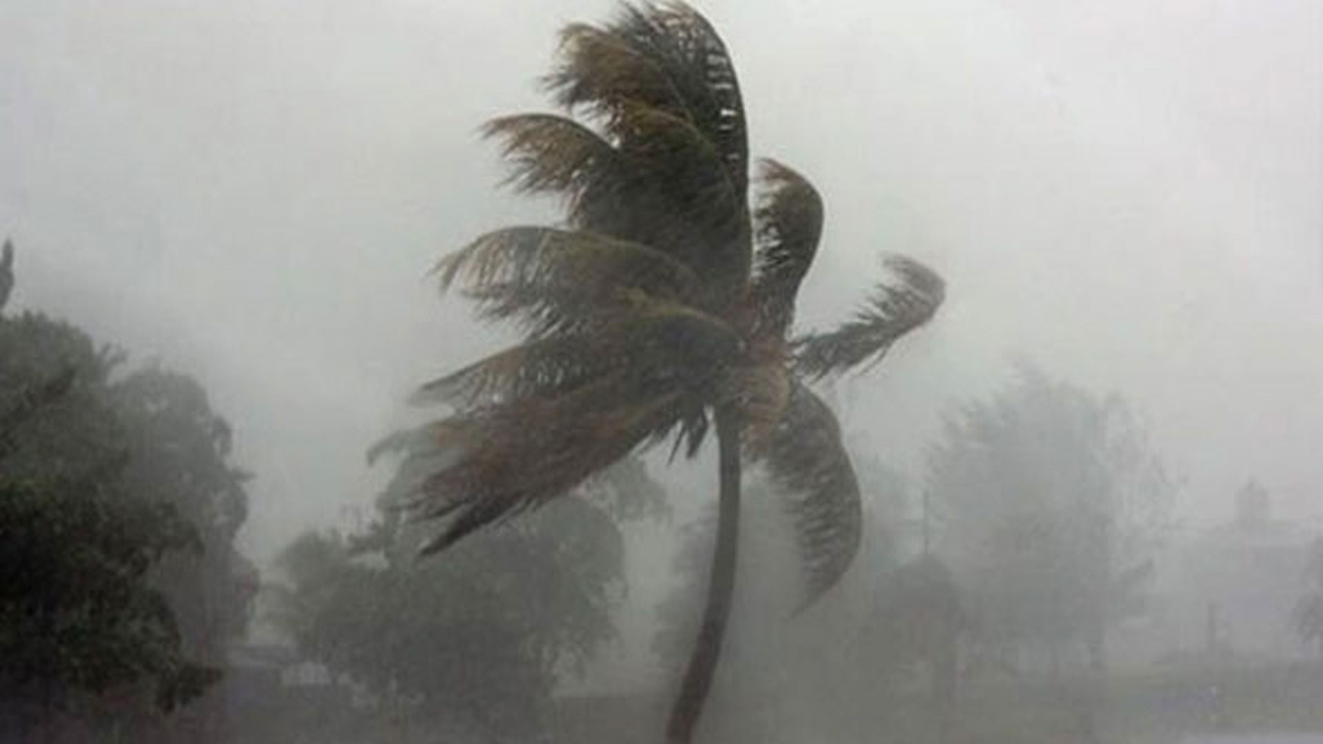 ঢাকাসহ ১২ জেলায় ৮০ কিমি বেগে ঝড়ের শঙ্কা