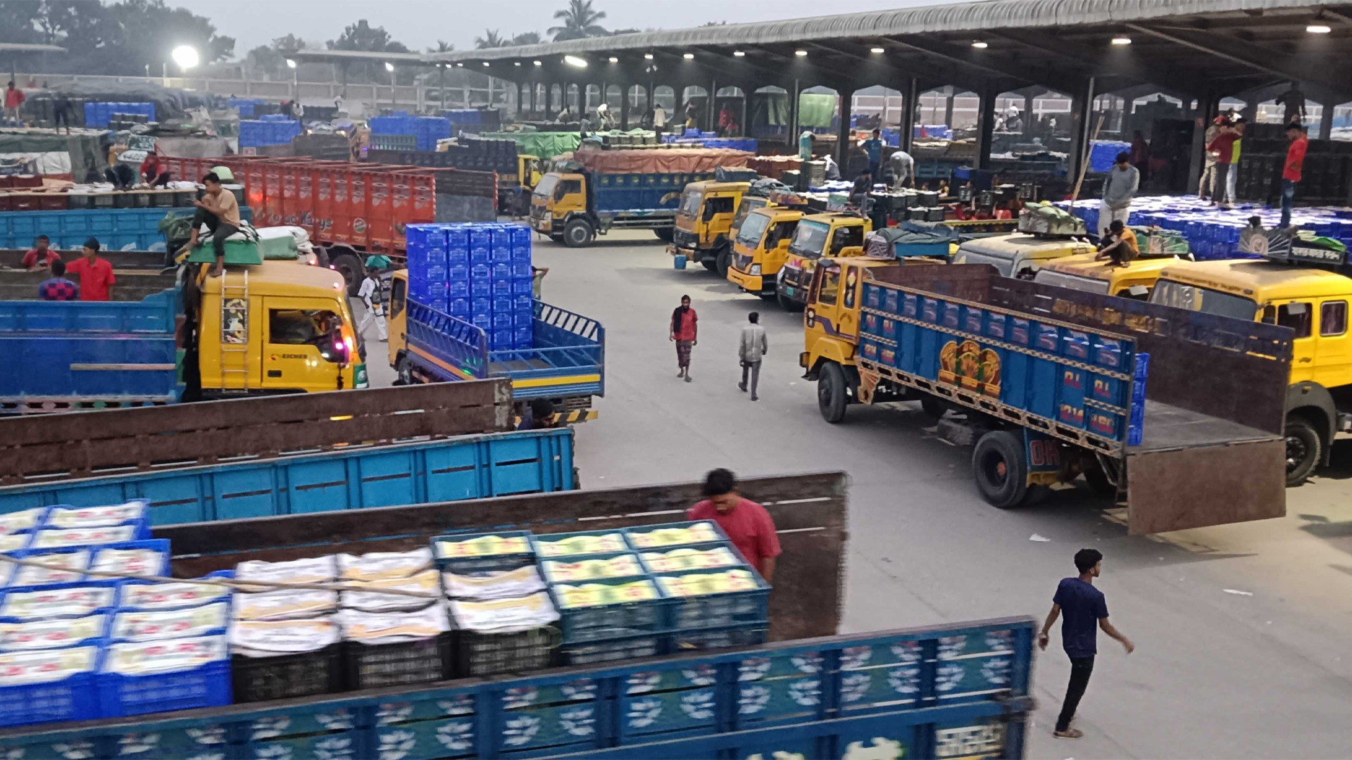 ঈদের ছুটি শেষে ৭ দিন পর সচল হলো বেনাপোল-পেট্রাপোল বন্দর