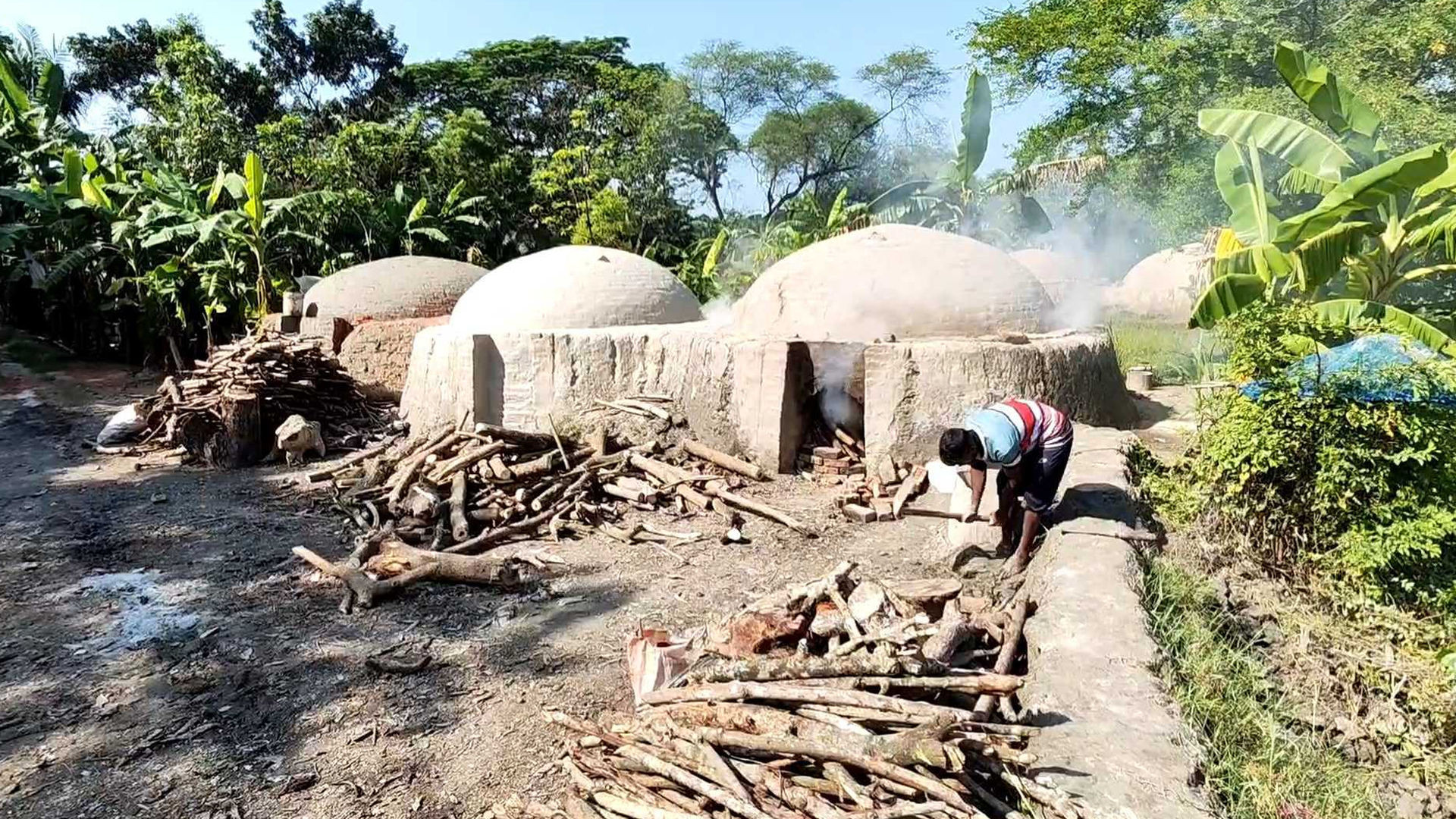 যশোরে কাঠ পুড়িয়ে কয়লা তৈরি, ঝুঁকিতে জনস্বাস্থ্য ও পরিবেশ