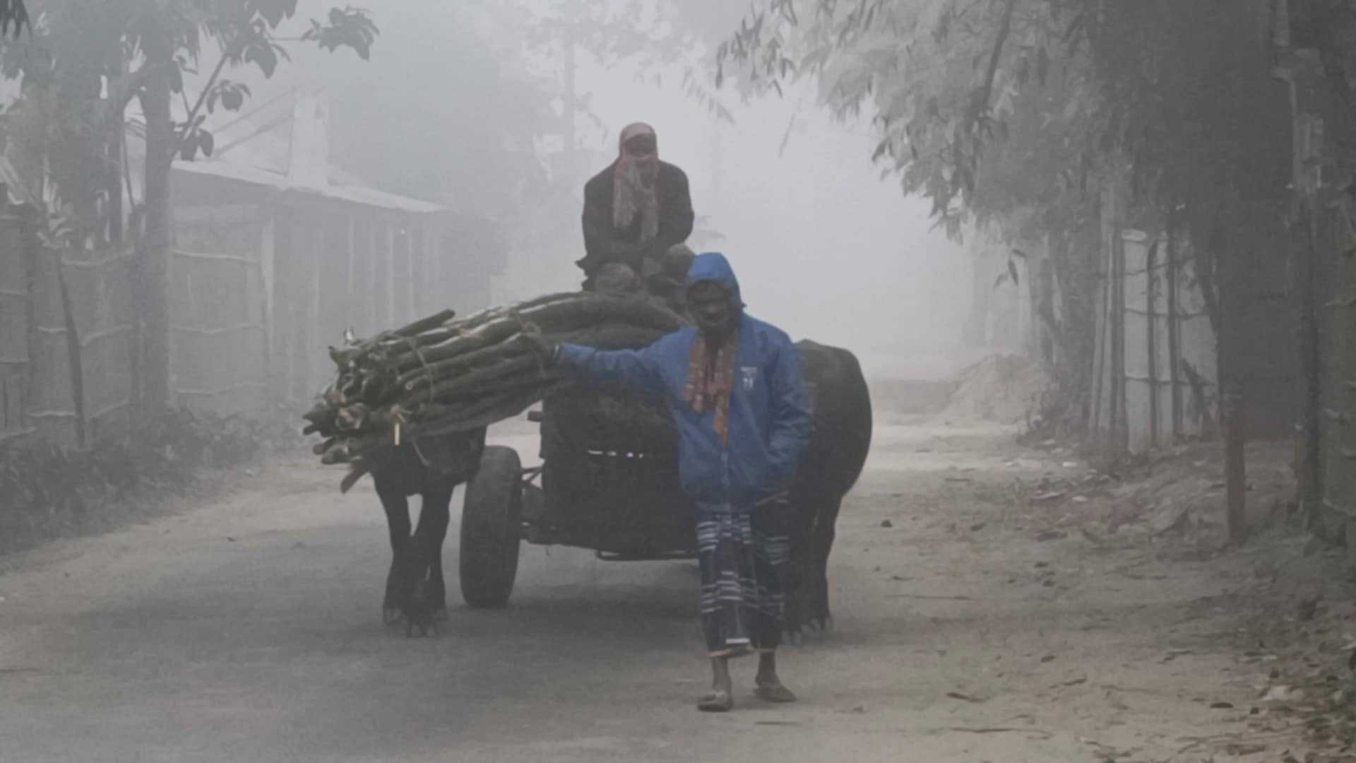 শৈত্যপ্রবাহ নিয়ে যে বার্তা দিলো আবহাওয়া দফতর