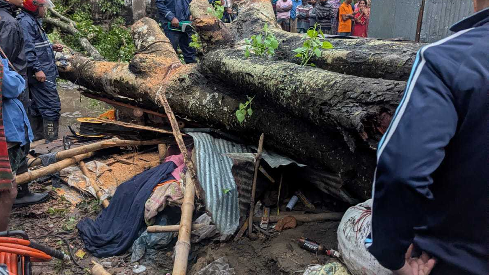নিজের ছোট্ট দোকানে ঘুমিয়ে ছিলেন উমা চন্দ্র, ঝড়ে গাছ পড়ে গেল প্রাণ