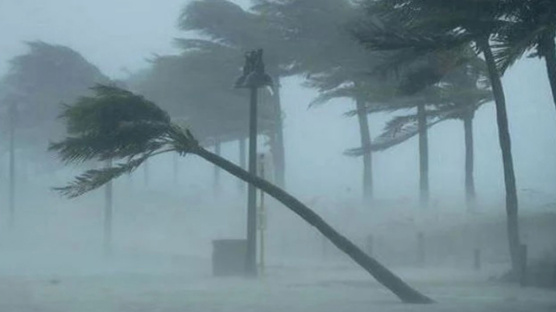 দুপুরের মধ্যে ৮০ কিমি বেগে ঝড় হতে পারে যেসব জেলায়