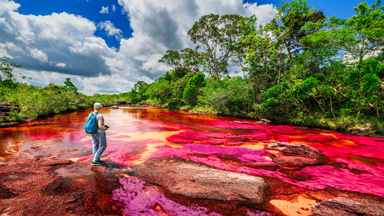 কলম্বিয়ার রংধনু নদী যেন অপার সম্ভাবনা