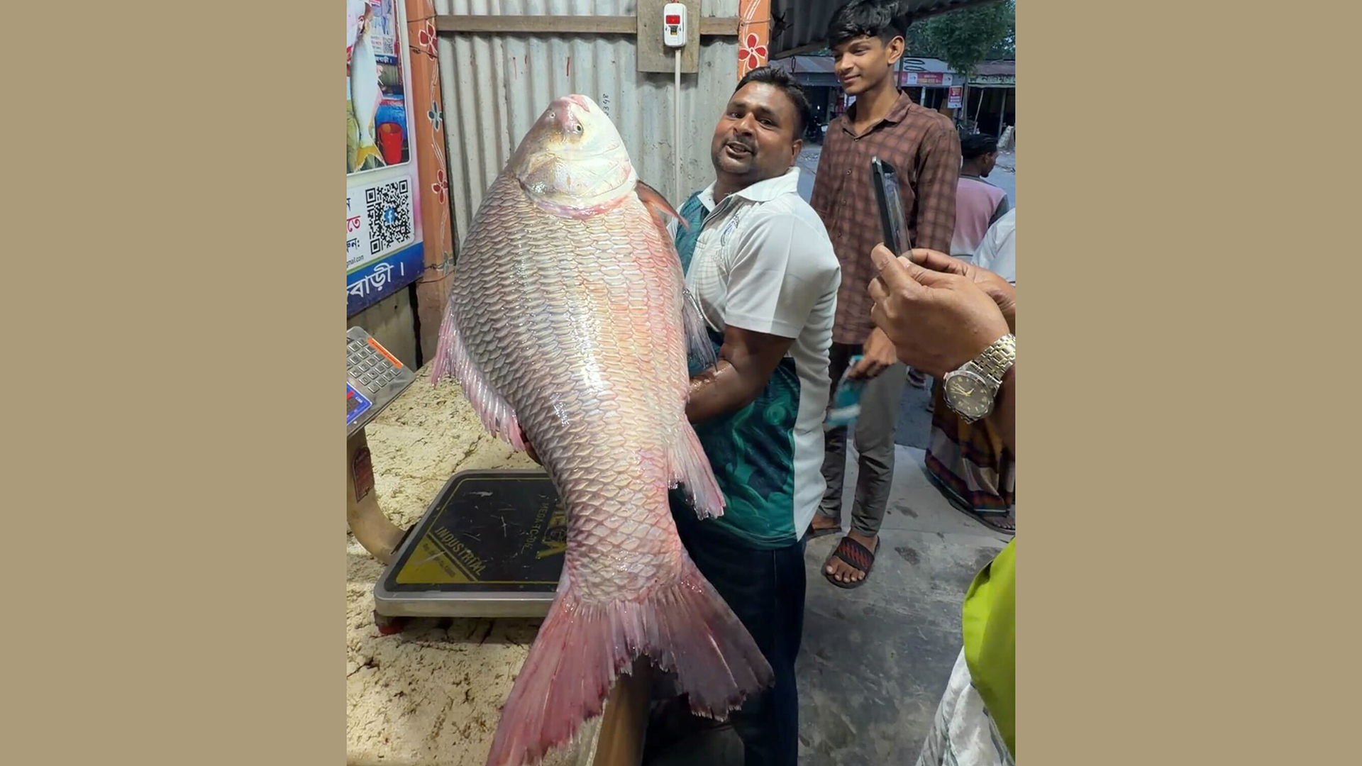 এক কাতলের দাম ৪৮ হাজার টাকা!