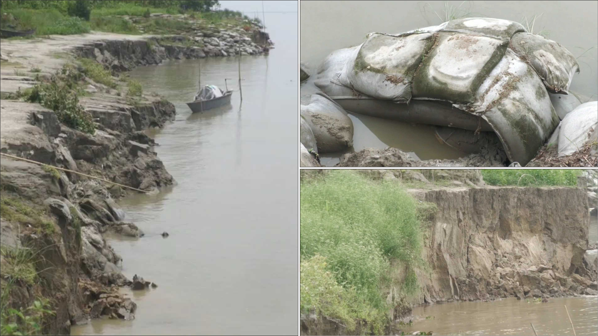 উজান থেকে নেমে আসা ঢলে পদ্মা-যমুনার তীরে ভাঙন