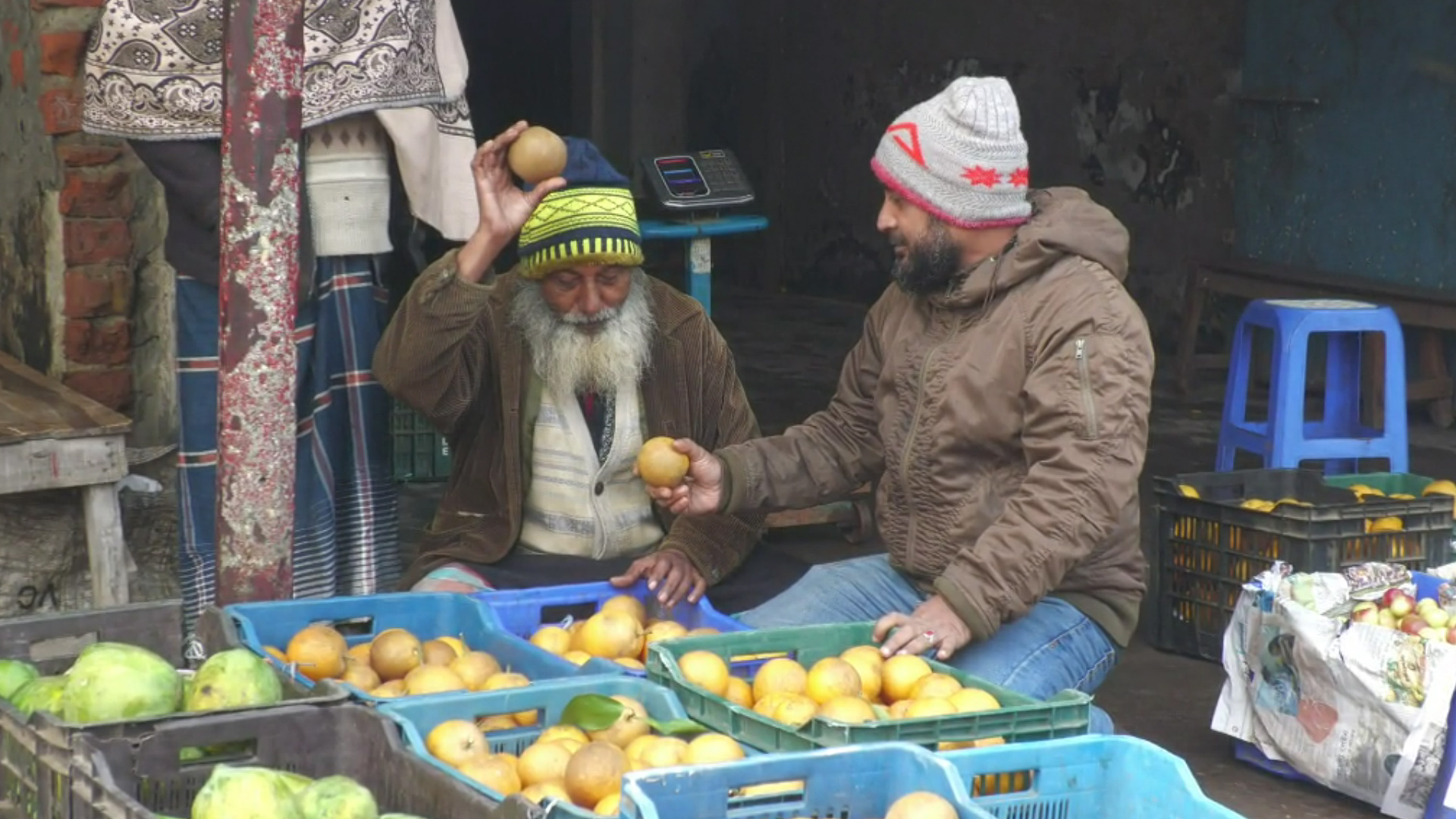 উৎপাদন বাড়লেও কাঙ্ক্ষিত দাম না মেলায় হতাশ নাটোরের ফল চাষিরা