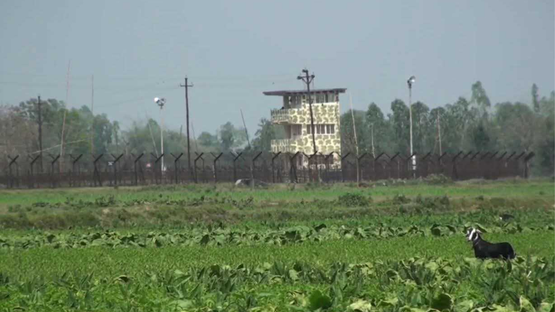 পাটগ্রাম সীমান্তে ভারতীয় চোরাকারবারিদের লক্ষ্য করে বিজিবির গুলি