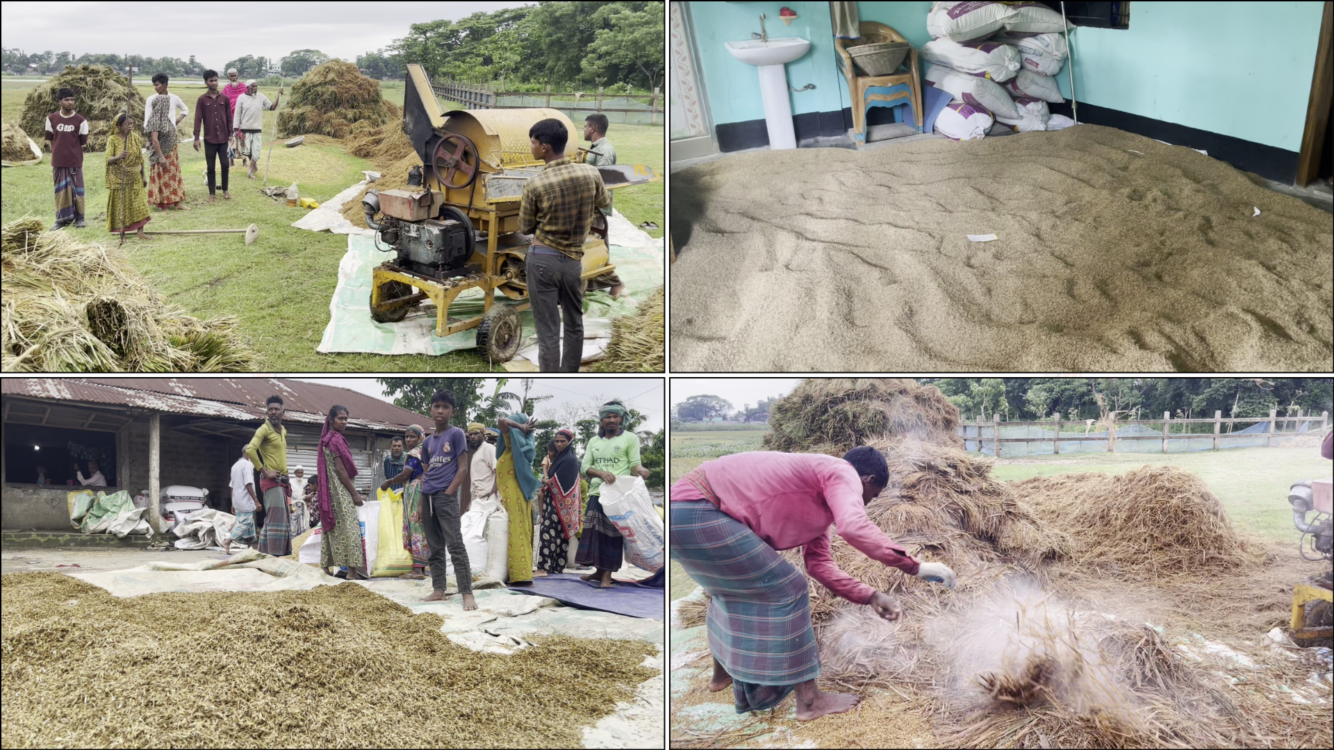 ‘শ্যাম রাখি না কুল রাখি’ অবস্থায় হাওড়ের কৃষকরা