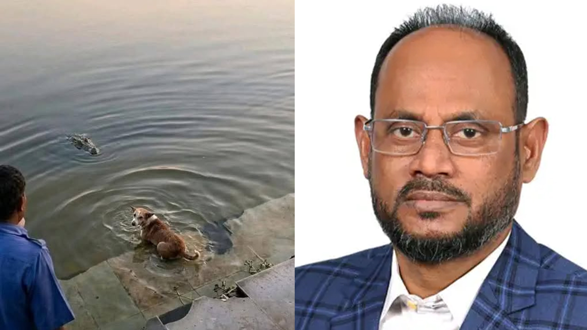 কুকুর-কুমির ঘটনা তদন্তের মাধ্যমে দোষীদের শাস্তির নির্দেশ প্রাণিসম্পদ প্রতিমন্ত্রীর