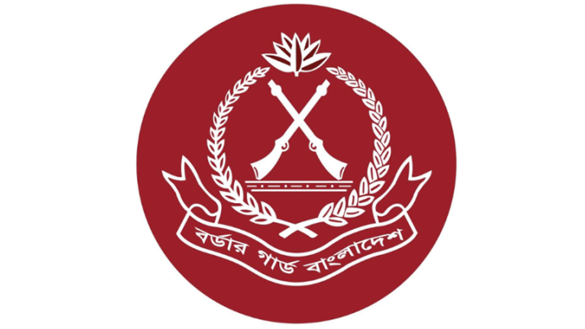চাঁপাইনবাবগঞ্জ সীমান্তে ভারতীয় ১০টি মহিষ জব্দ