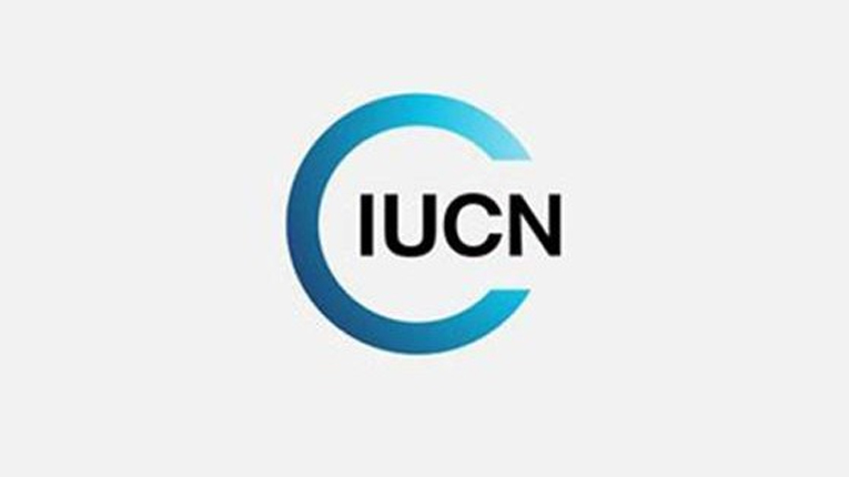 আইইউসিএন-সুন্দরবন প্রকল্পে চাকরির সুযোগ, দ্রুত আবেদন করুন