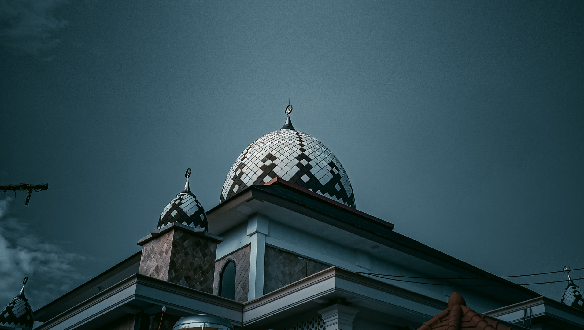 Katta eshak videolar