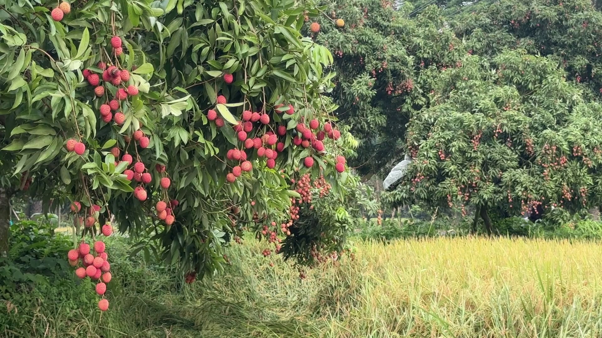 Kastingda anal jinsiy aloqada bolish Eng yaxshi rus pissing porno