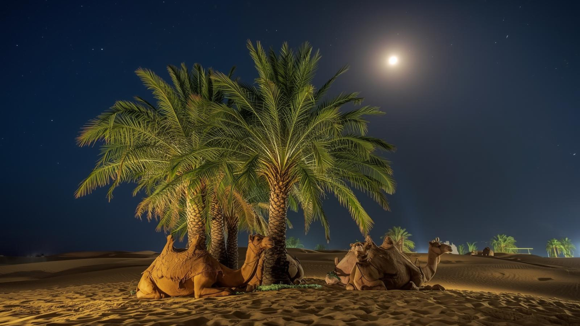 দাম্পত্য জীবনে নবীজি কেমন ছিলেন?