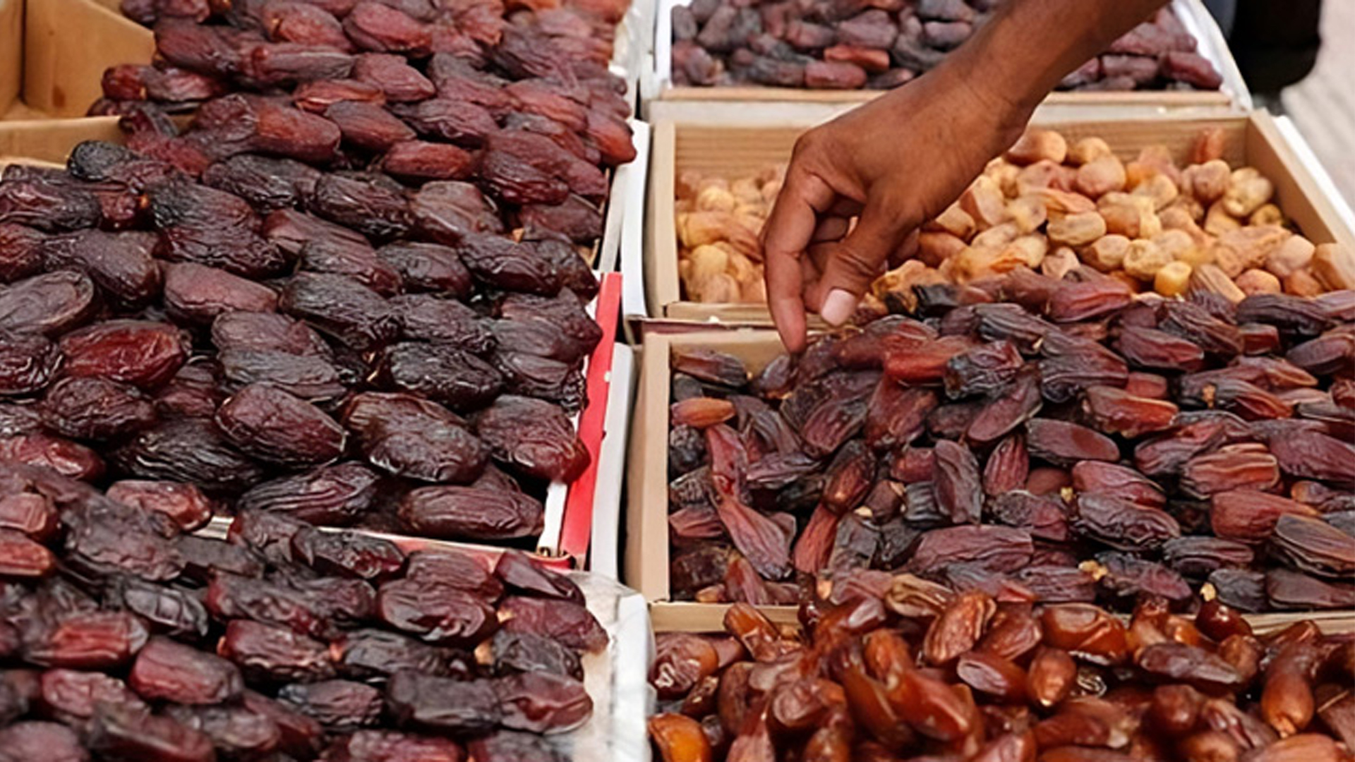 রমজানে খেজুরের বাজারে অস্থিরতার শঙ্কা