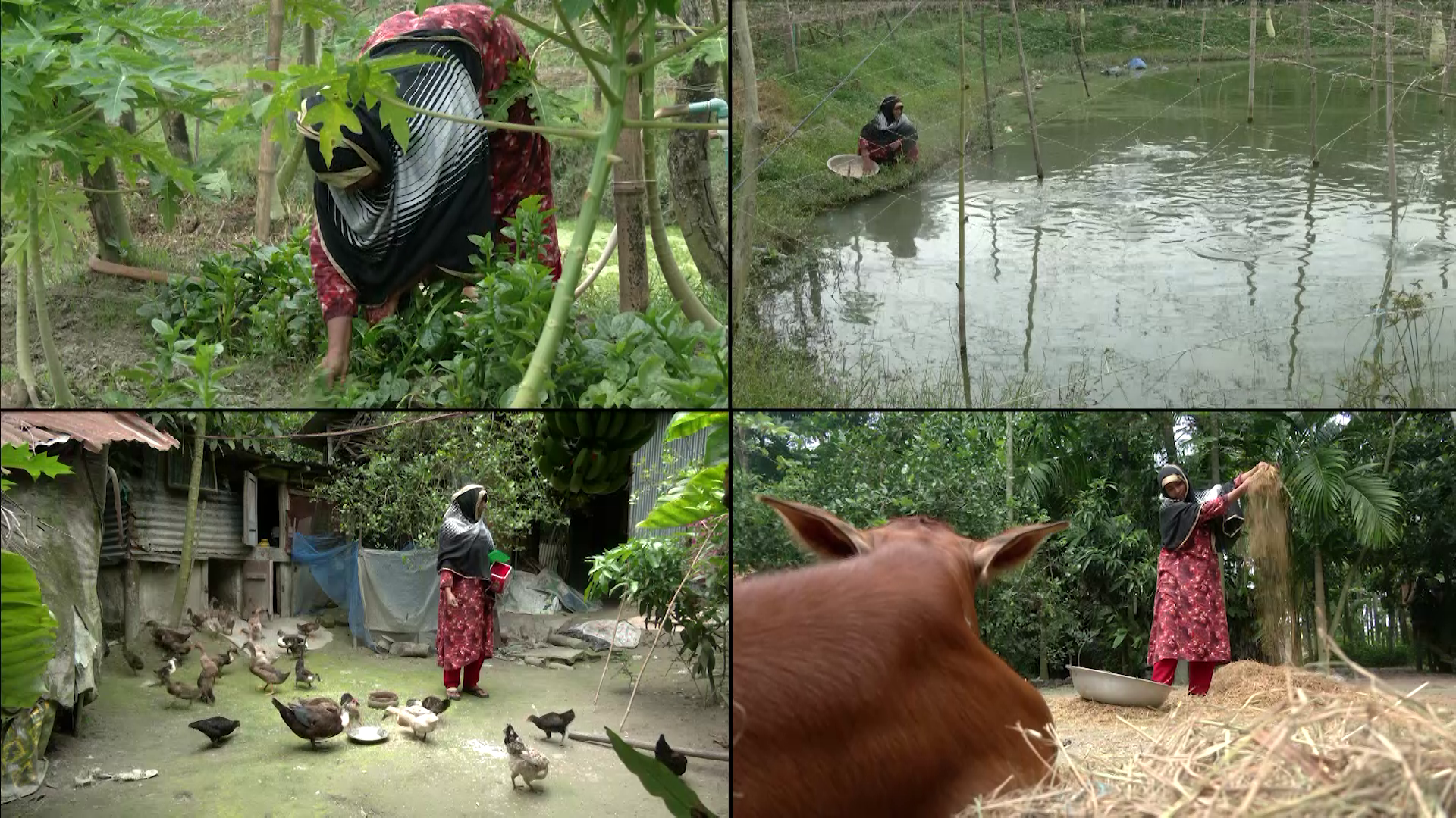 রাষ্ট্রীয় স্বীকৃতি থেকে অদৃশ্য নারী কৃষকরা, নেই পূর্ণাঙ্গ তালিকা