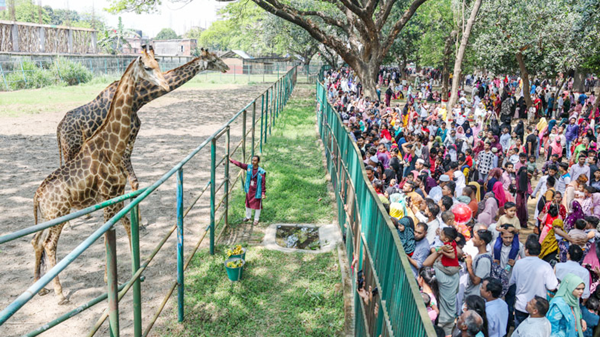 আজও ঈদের আমেজ চিড়িয়াখানায়