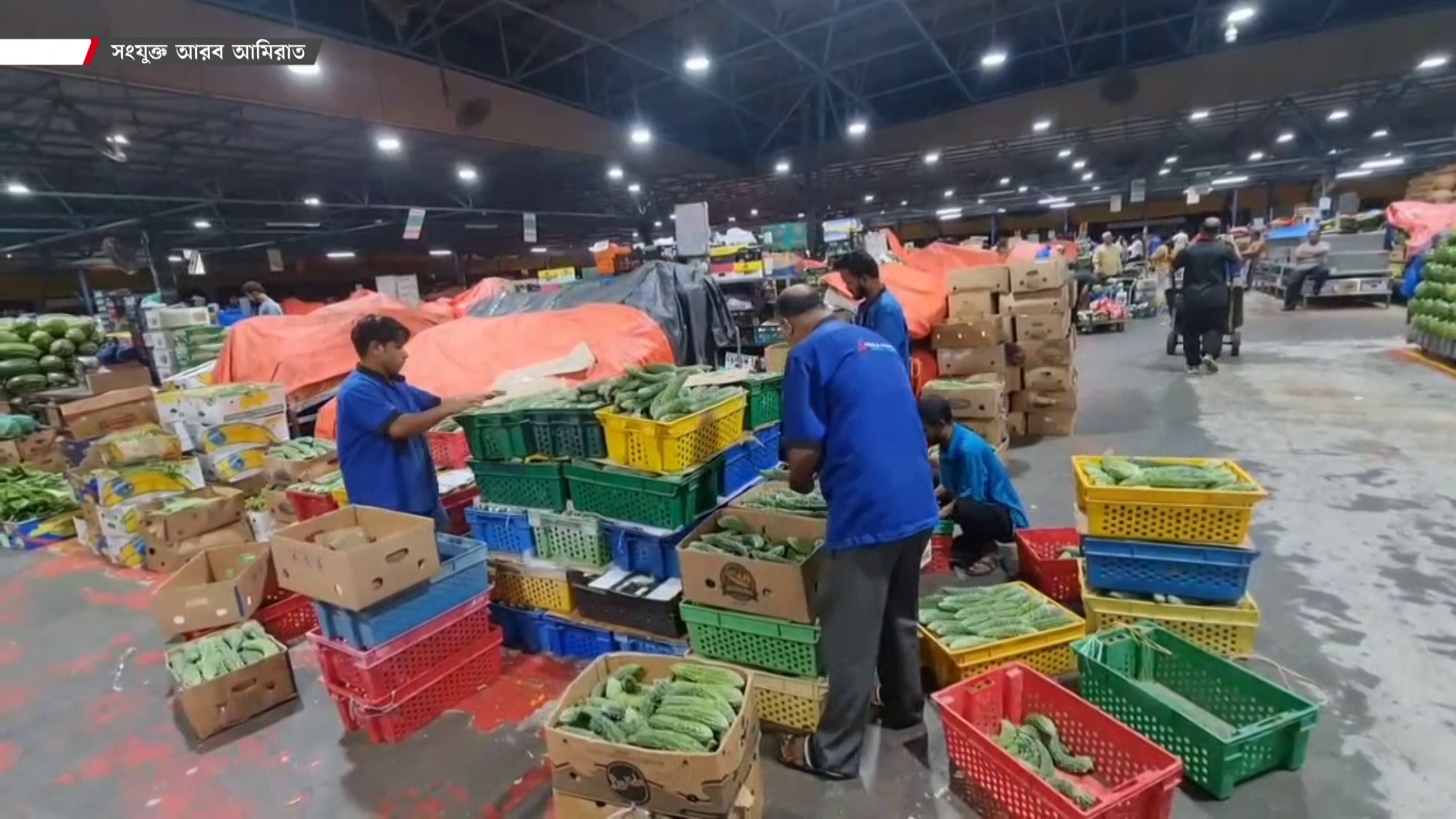 দুবাইয়ে বাংলাদেশি সবজির রাজত্ব, ব্যবসায়ীদের মুখে হাসি