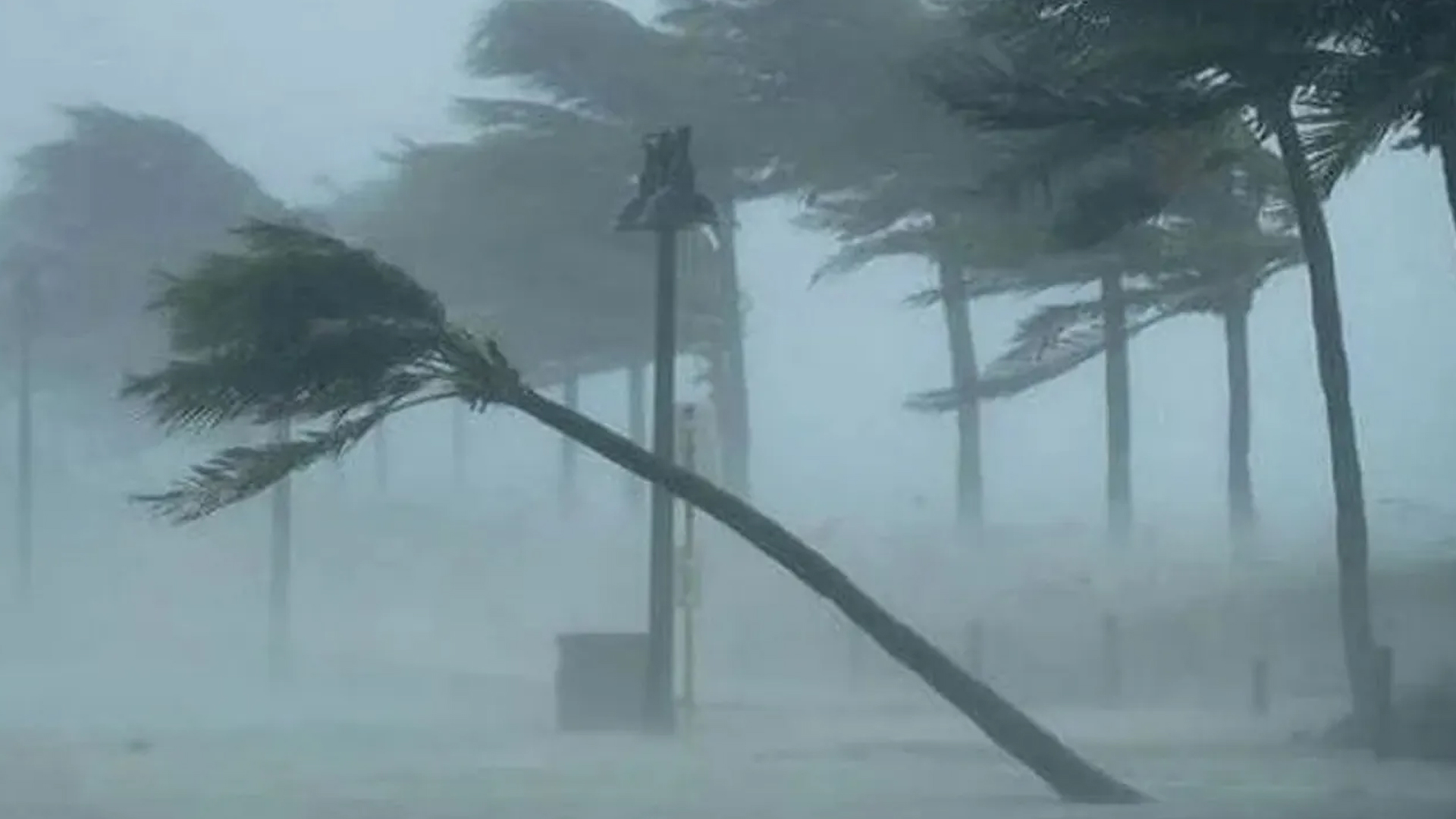 রাতে যেসব জেলায় ৮০ কিমি বেগে ঝড় ও বজ্রসহ বৃষ্টির আভাস