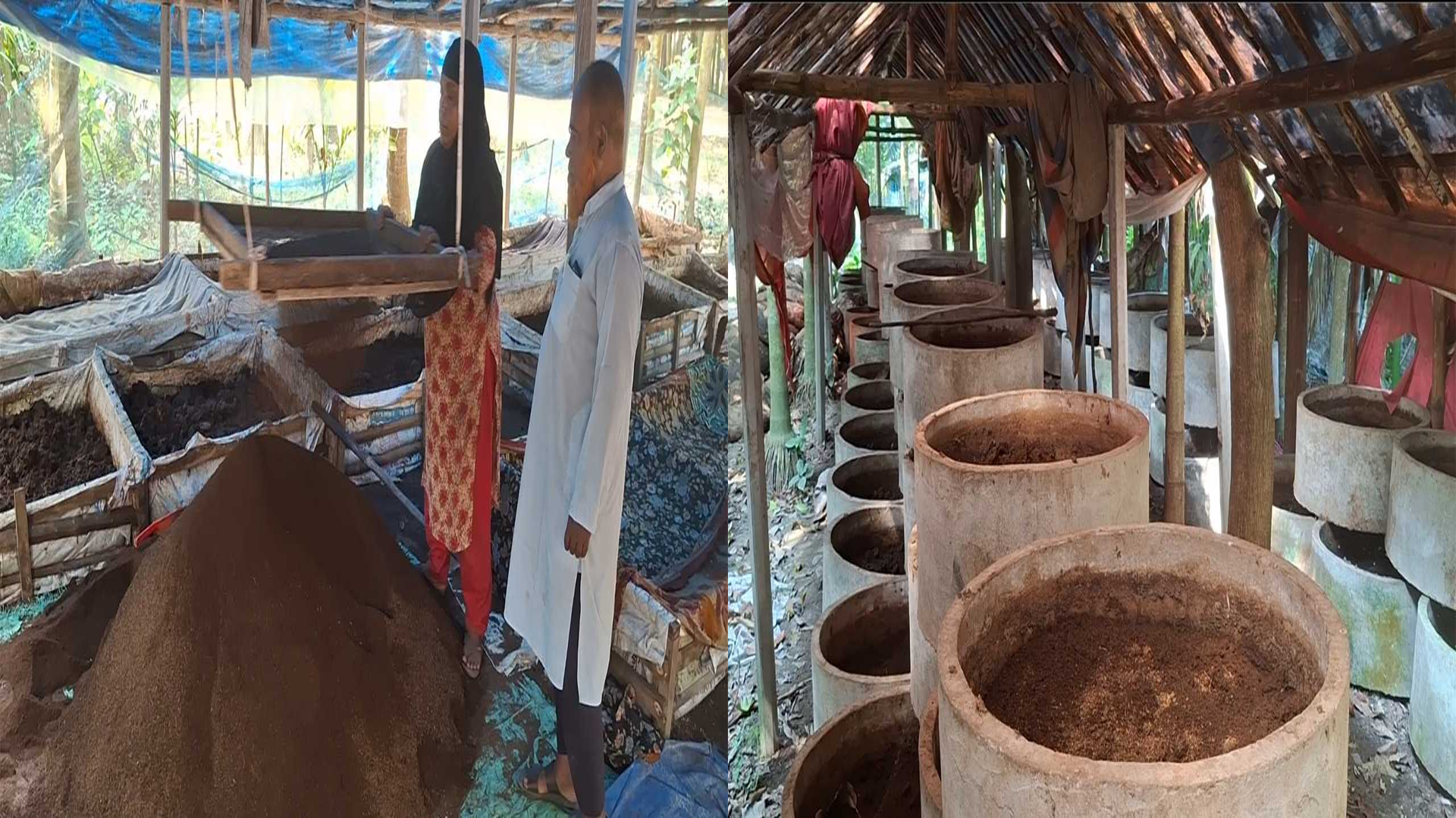 কেঁচো সারে আগ্রহ বাড়ছে সাতক্ষীরার চাষিদের