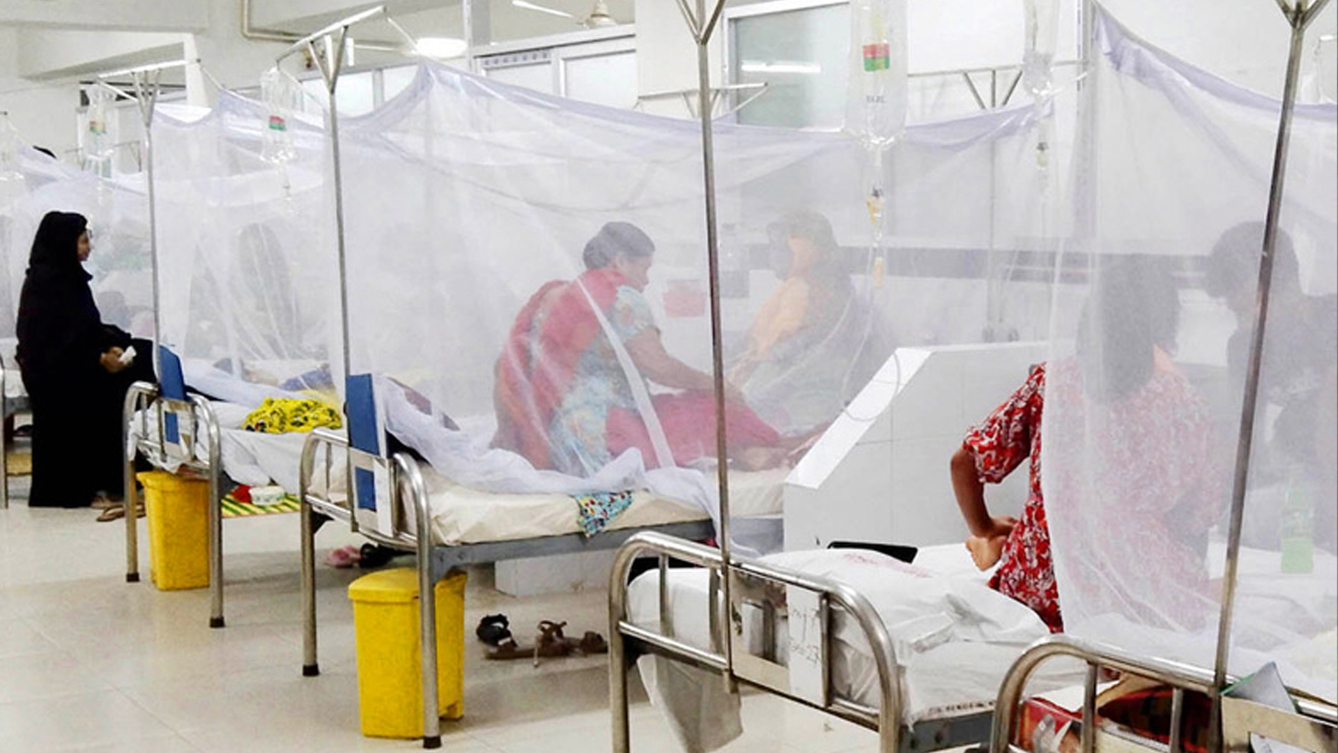 রাজধানীতেই ডেঙ্গু আক্রান্ত ২১৭, দেশজুড়ে আতঙ্ক!